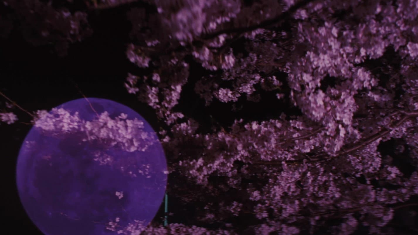 遙かな時代の階段を - immagine