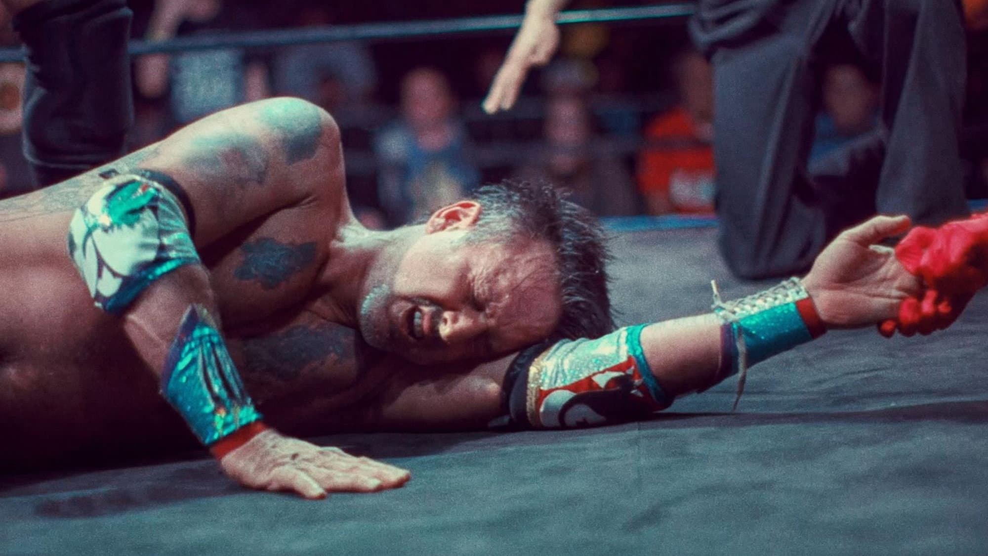 You Cannot Kill David Arquette - immagine