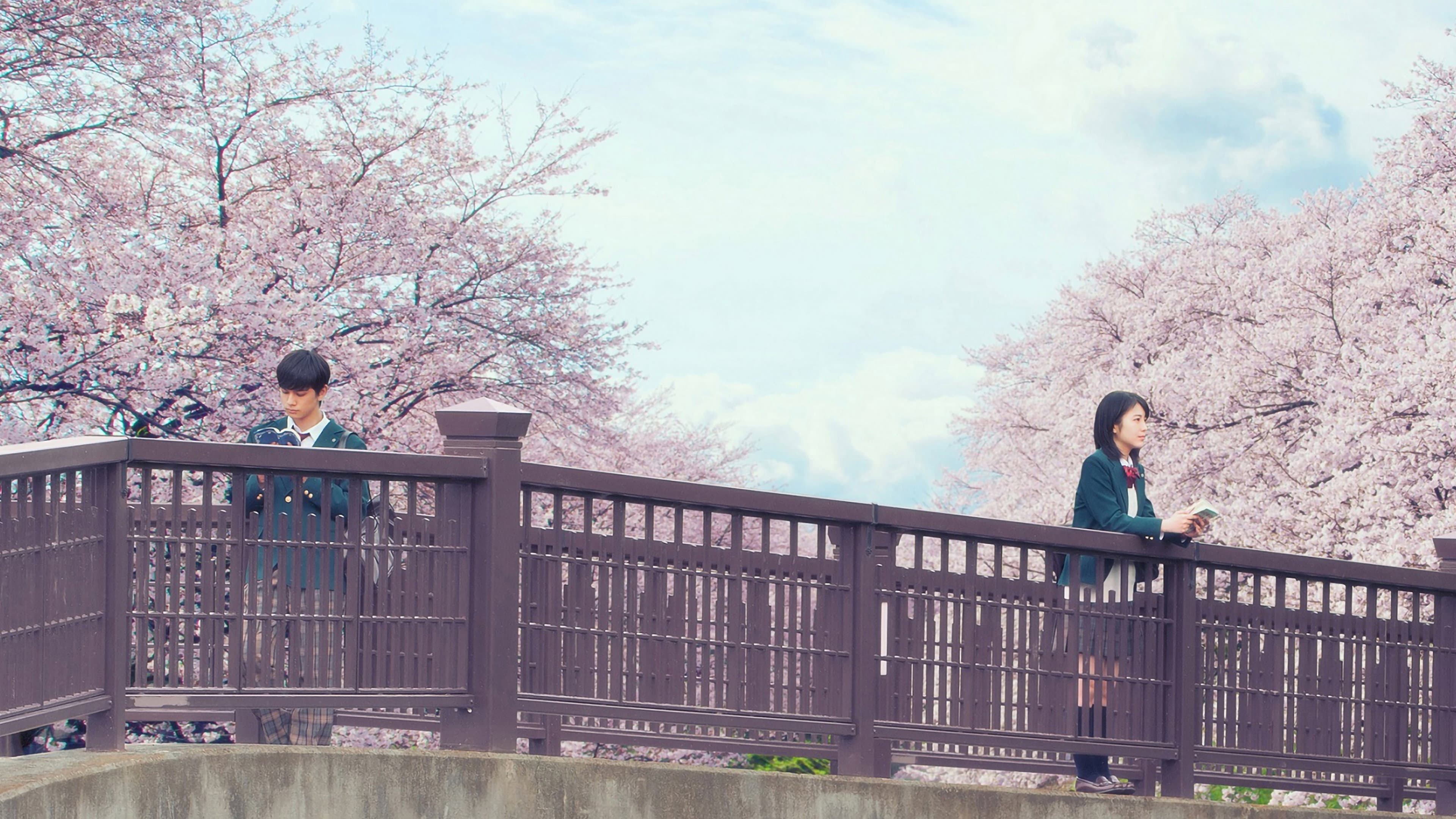 Let Me Eat Your Pancreas - immagine