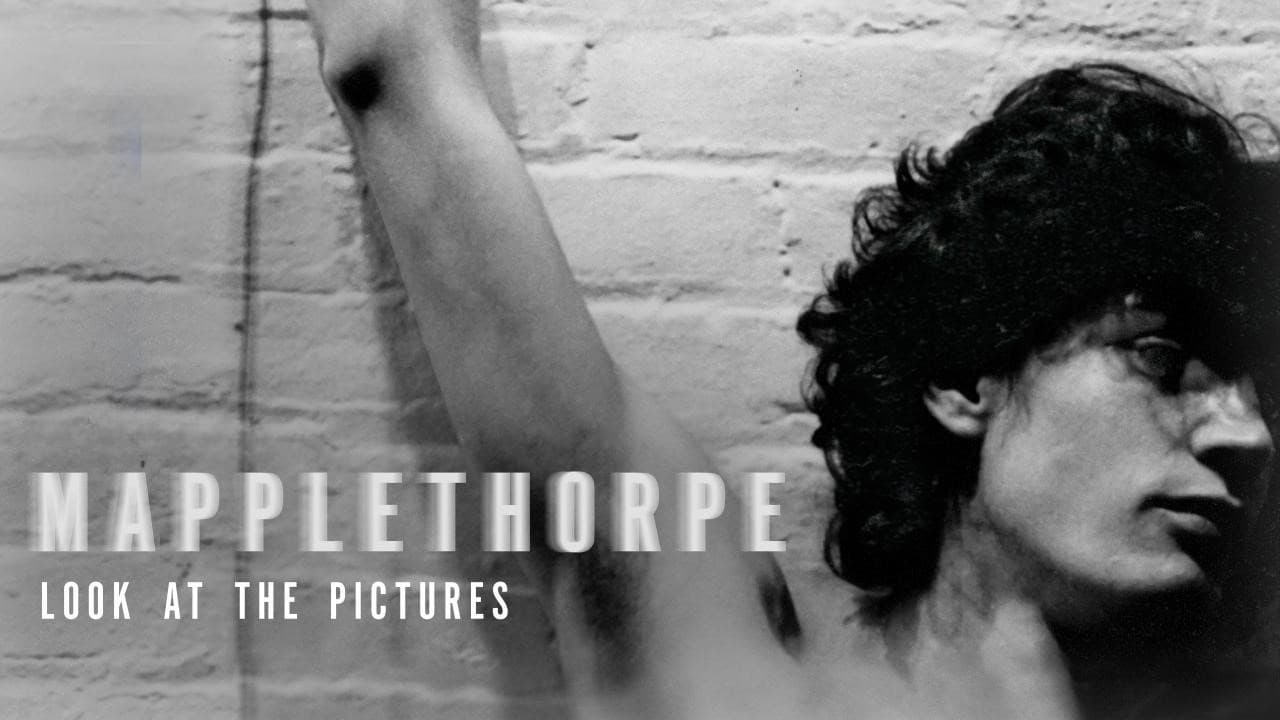Mapplethorpe: Look at the Pictures - immagine