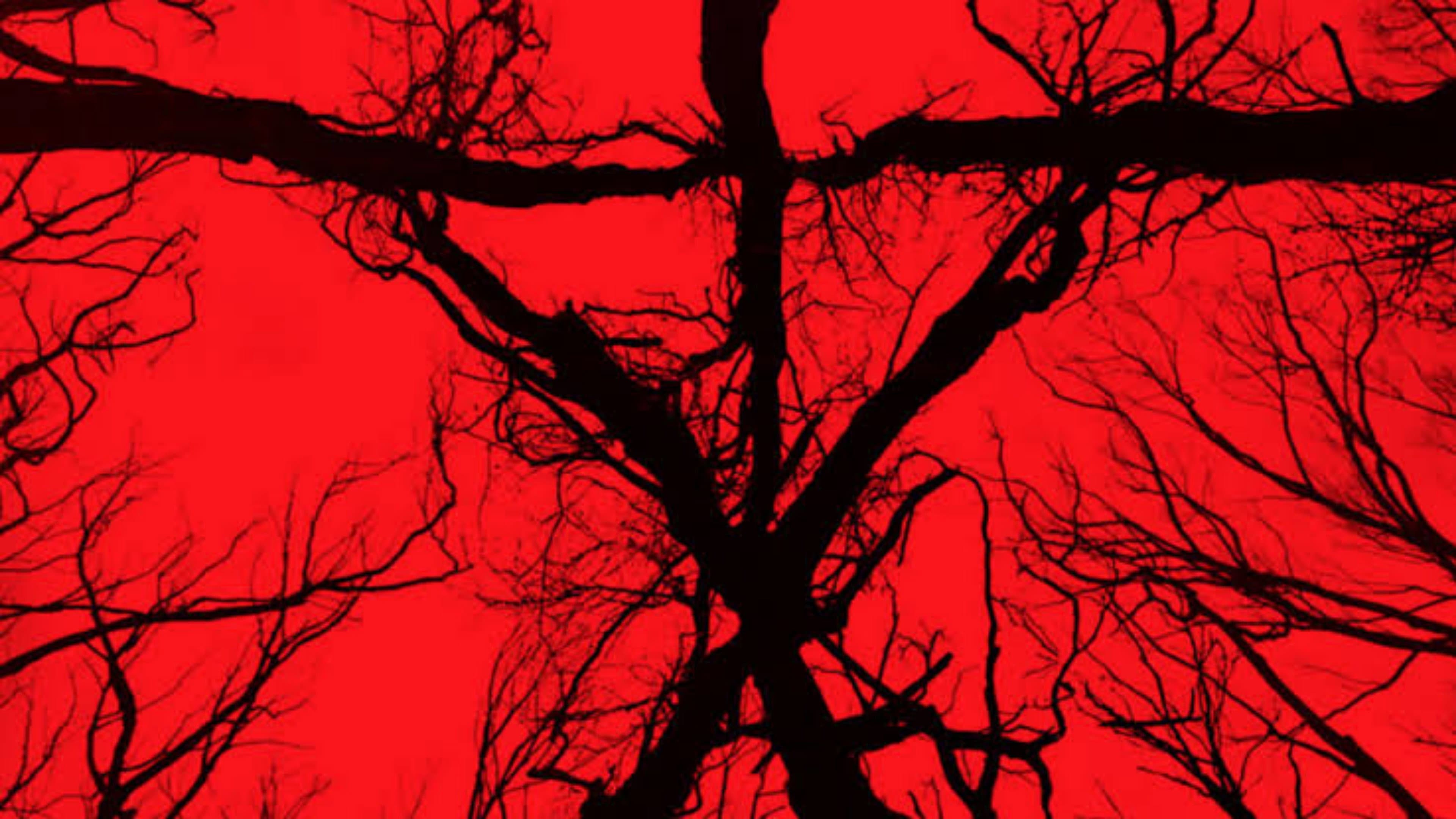 Blair Witch - immagine