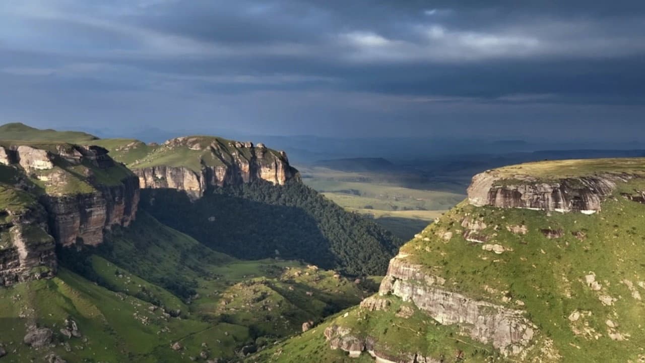 Terre, Les Forces du Vivant - immagine