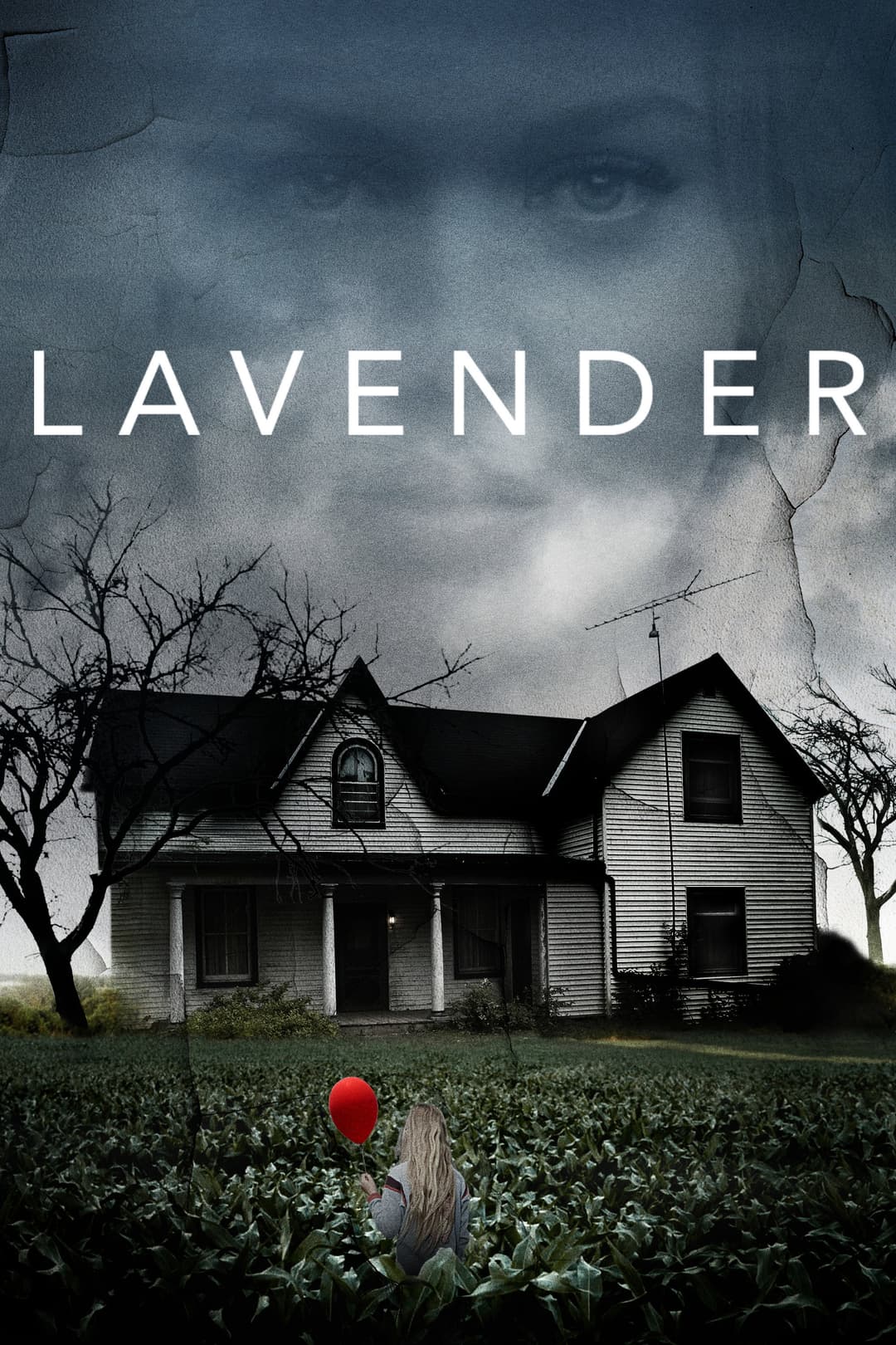 Poster di Lavender