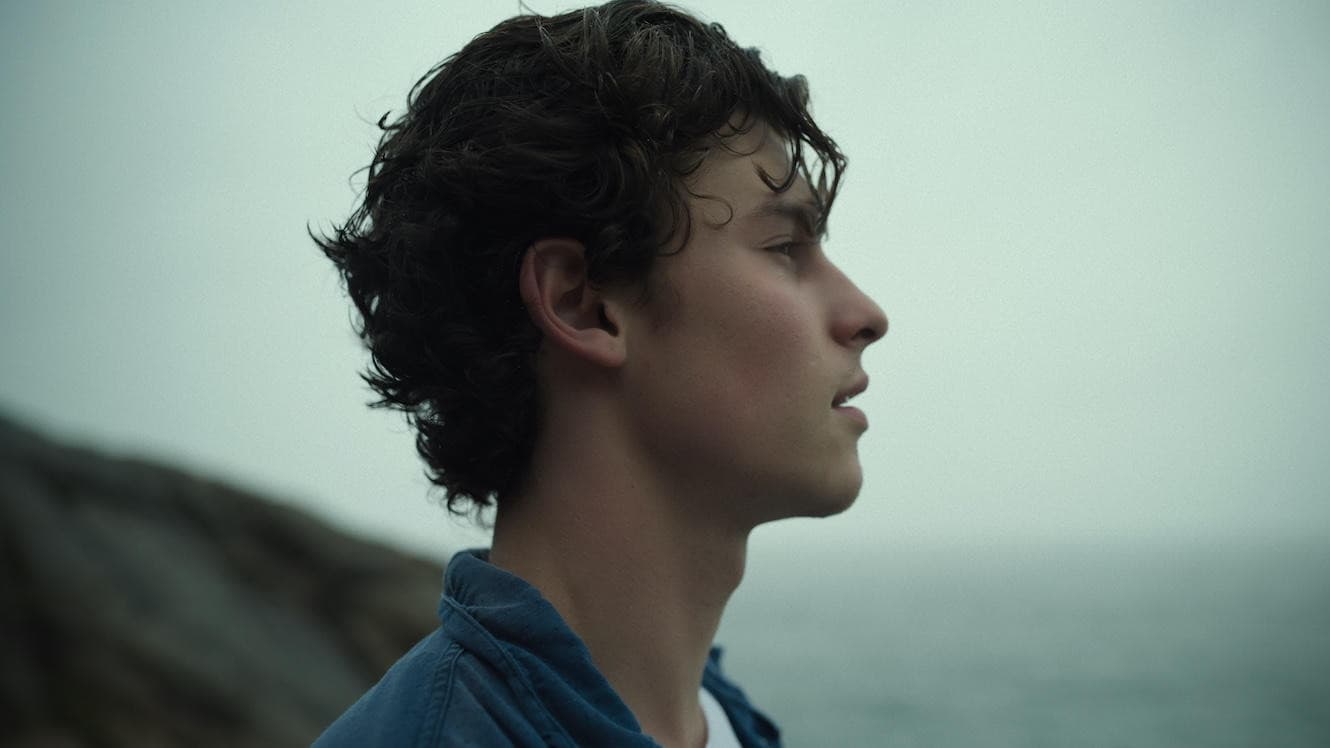 Shawn Mendes: In Wonder - immagine