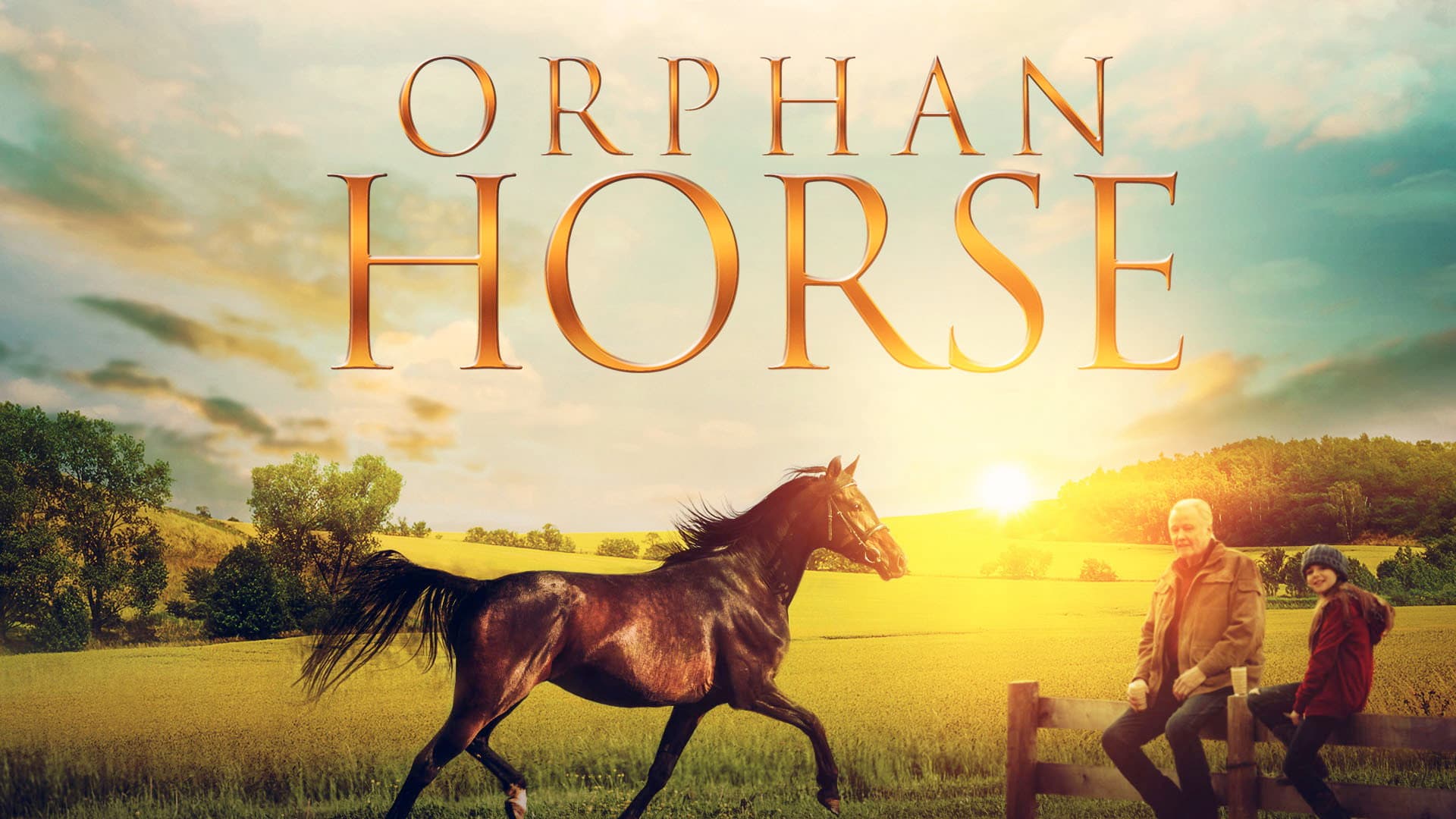 Orphan Horse - immagine