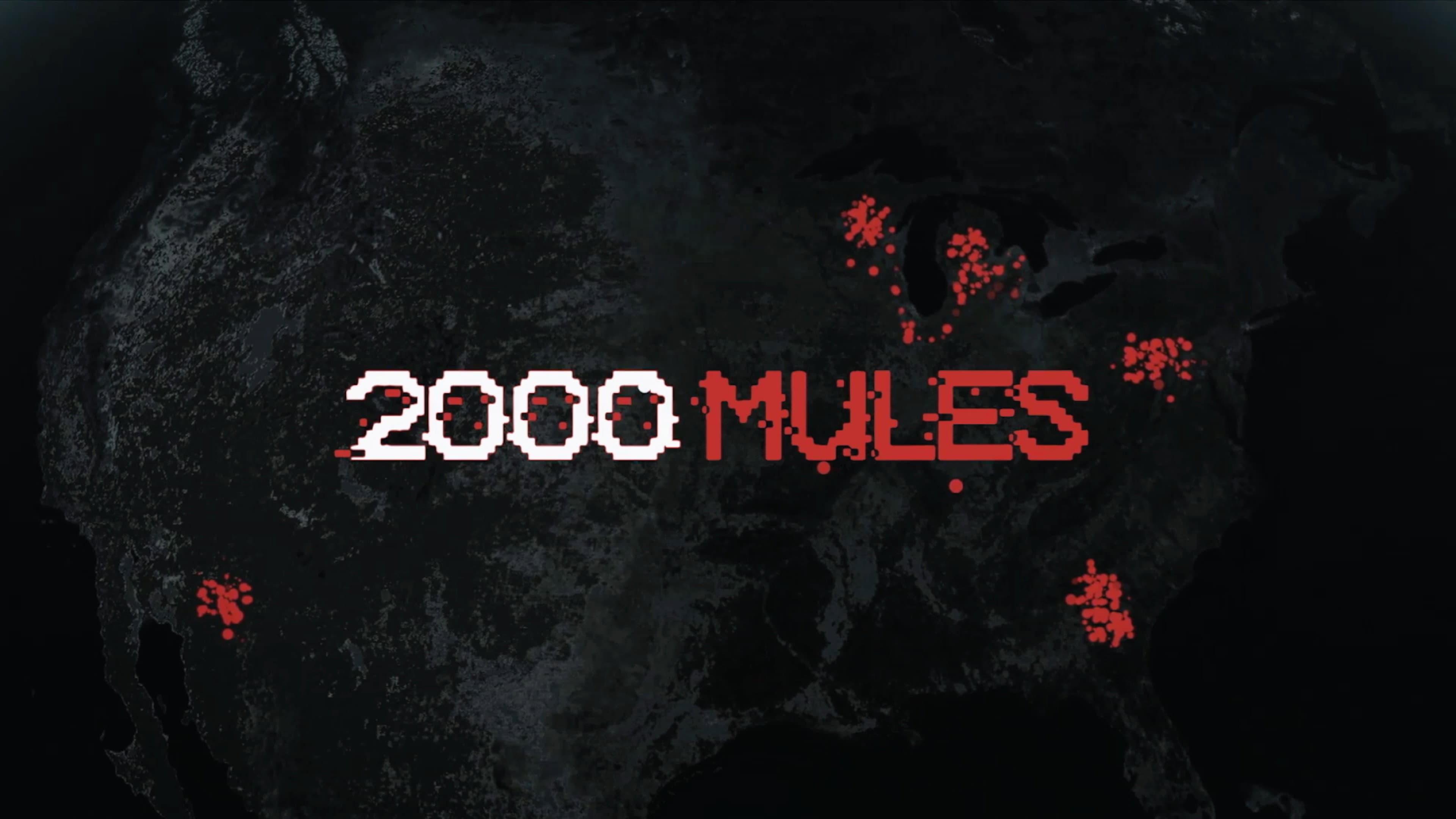 2000 Mules - immagine