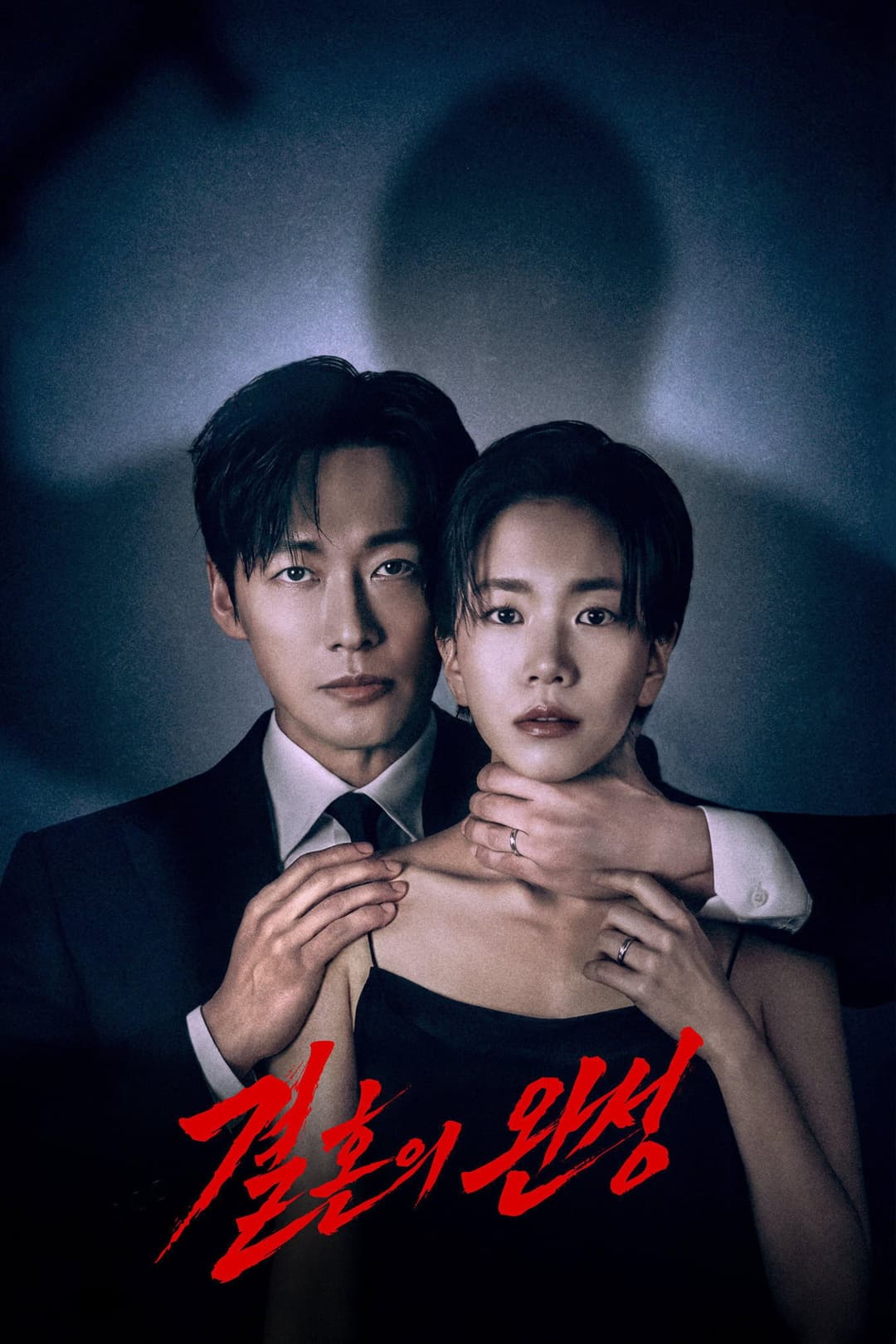 Poster di 결혼의 완성