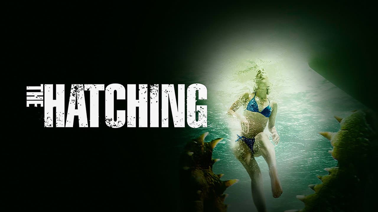 The Hatching - immagine