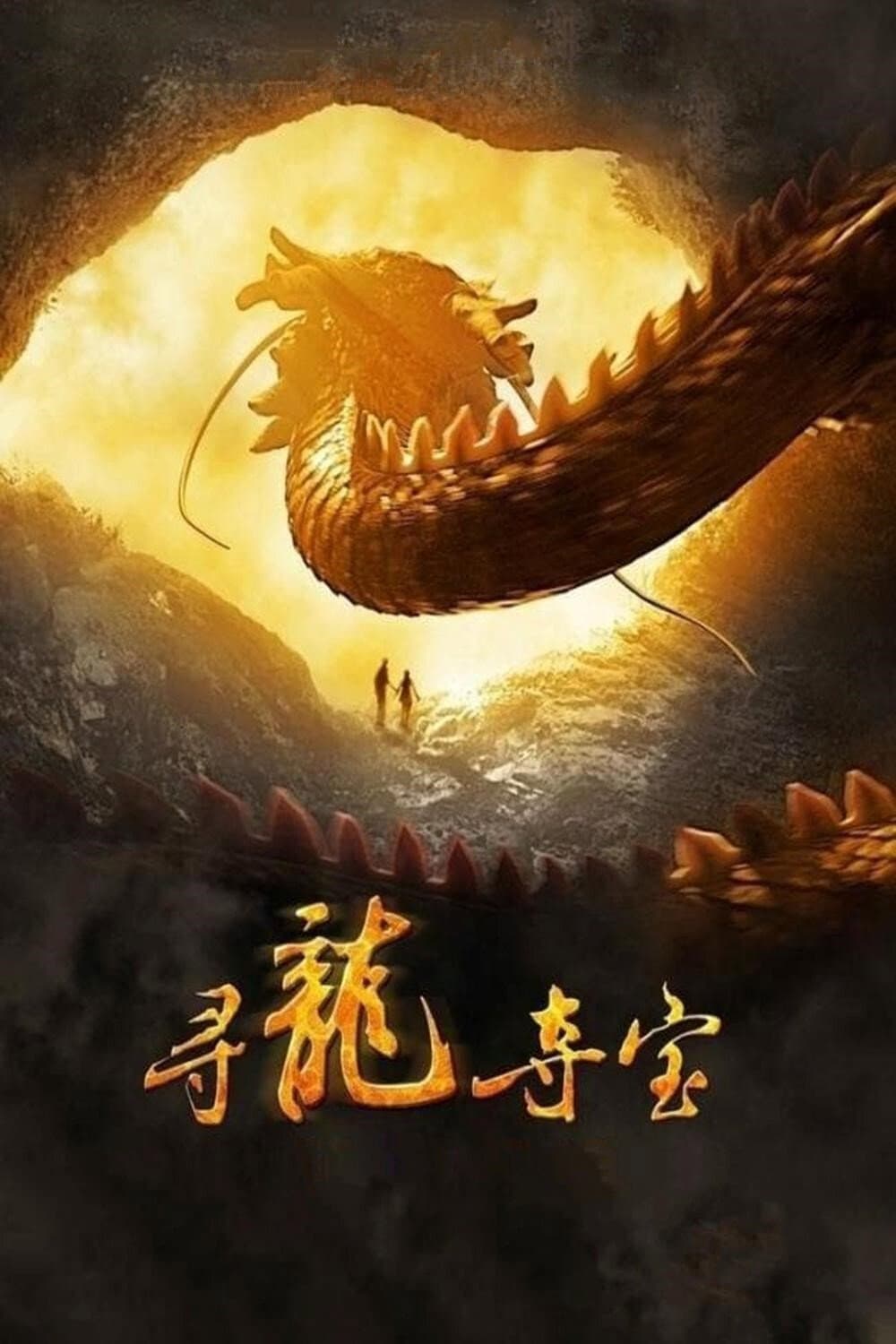 Poster di 寻龙夺宝