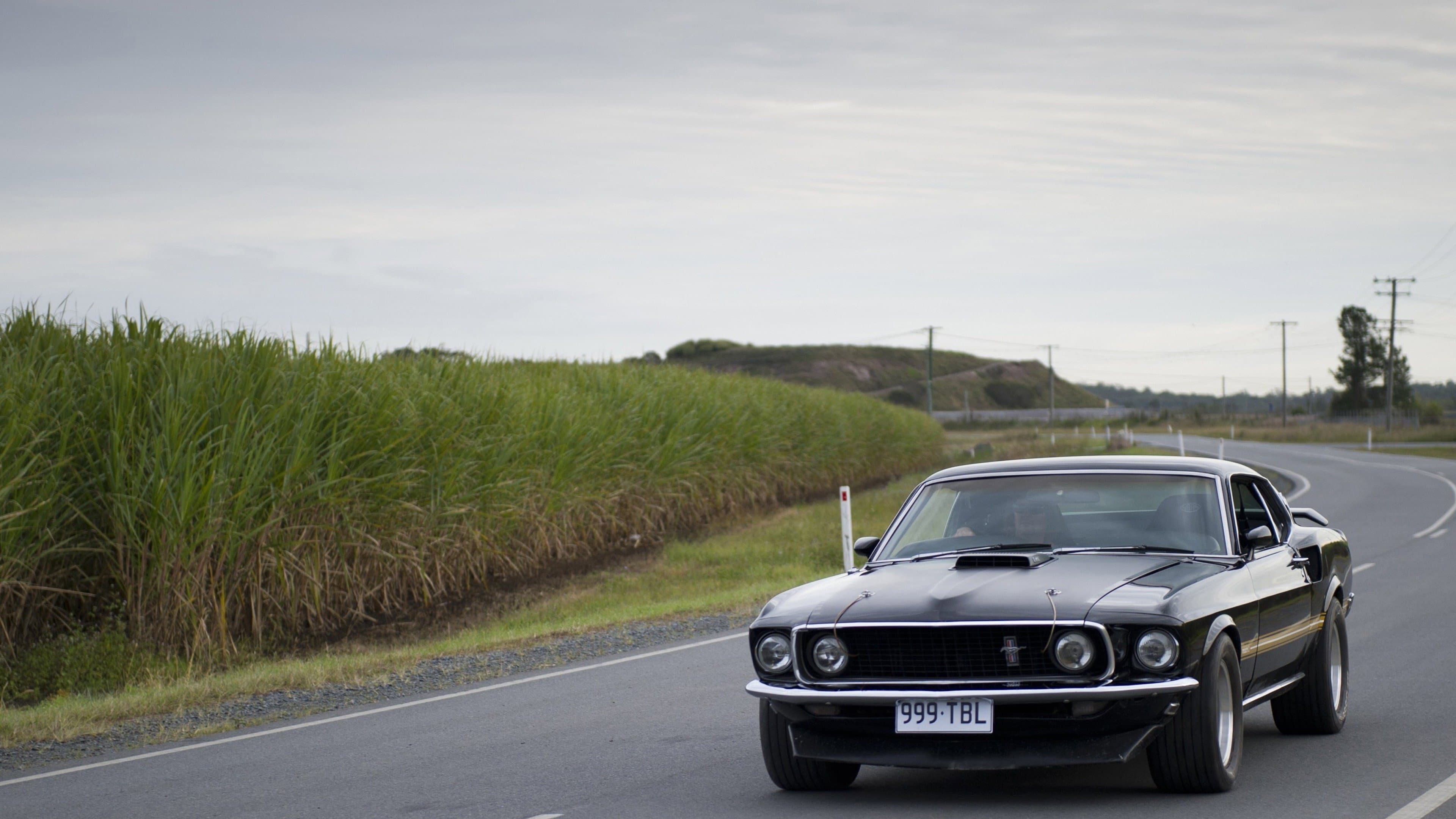 Drive Hard - immagine