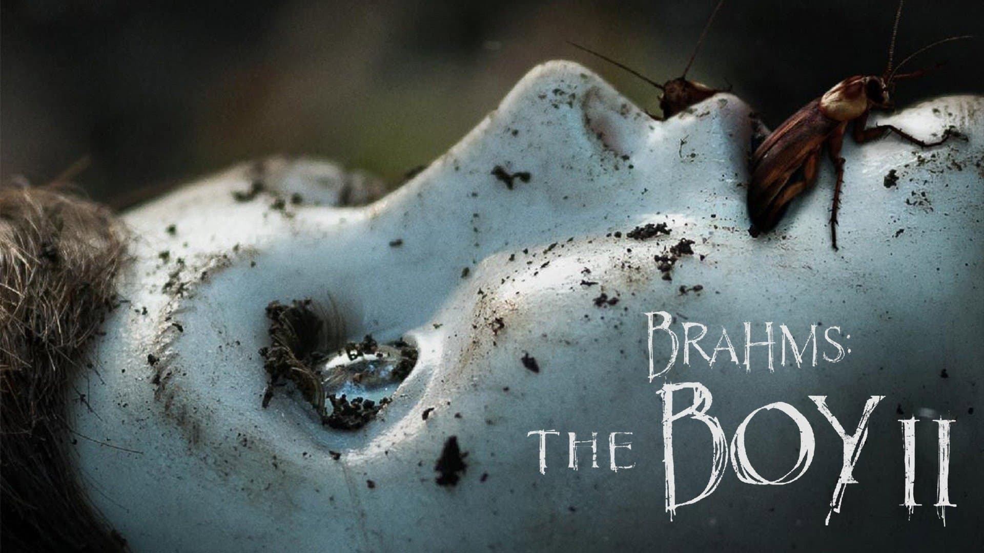 The Boy 2 - La maledizione di Brahms - immagine