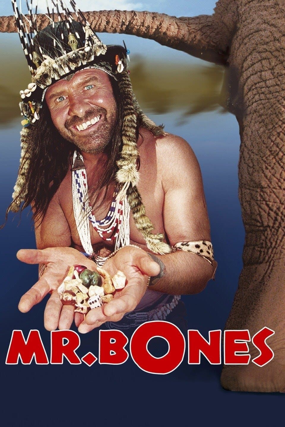 Poster di Mr. Bones