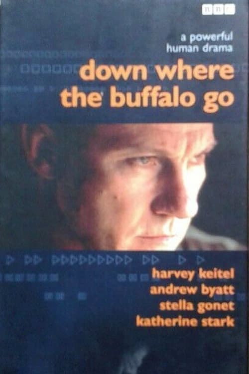 Poster di Down Where the Buffalo Go