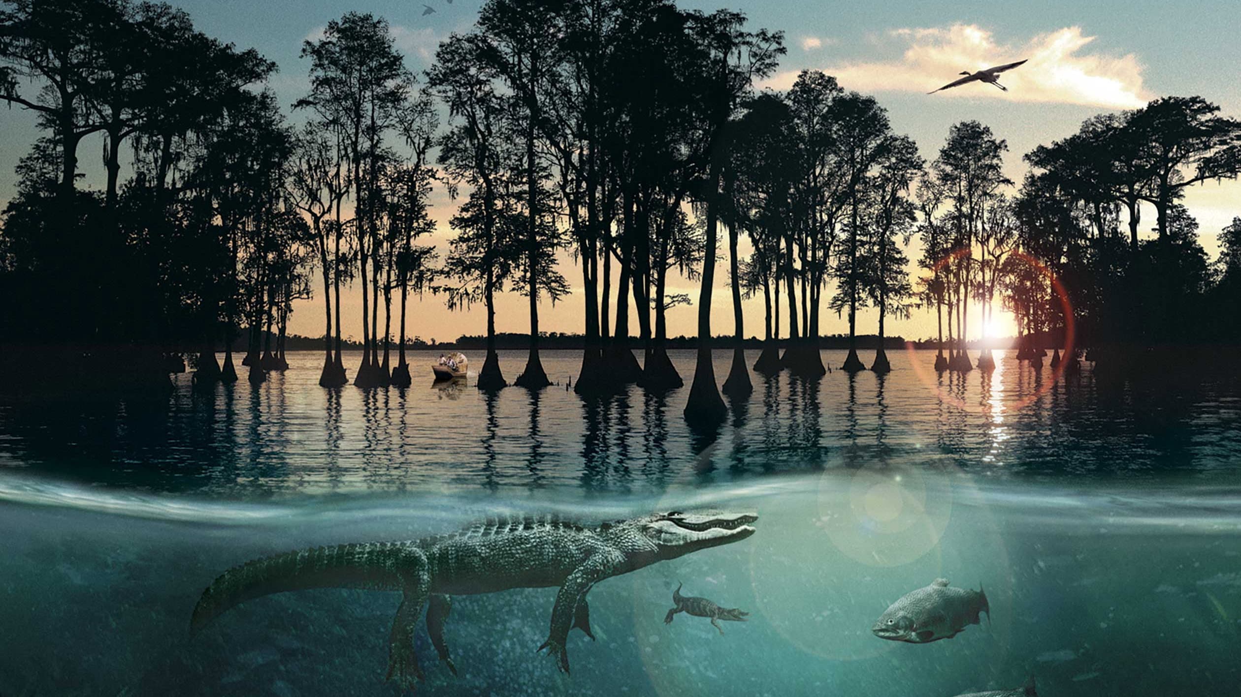 Hurricane on the Bayou - immagine
