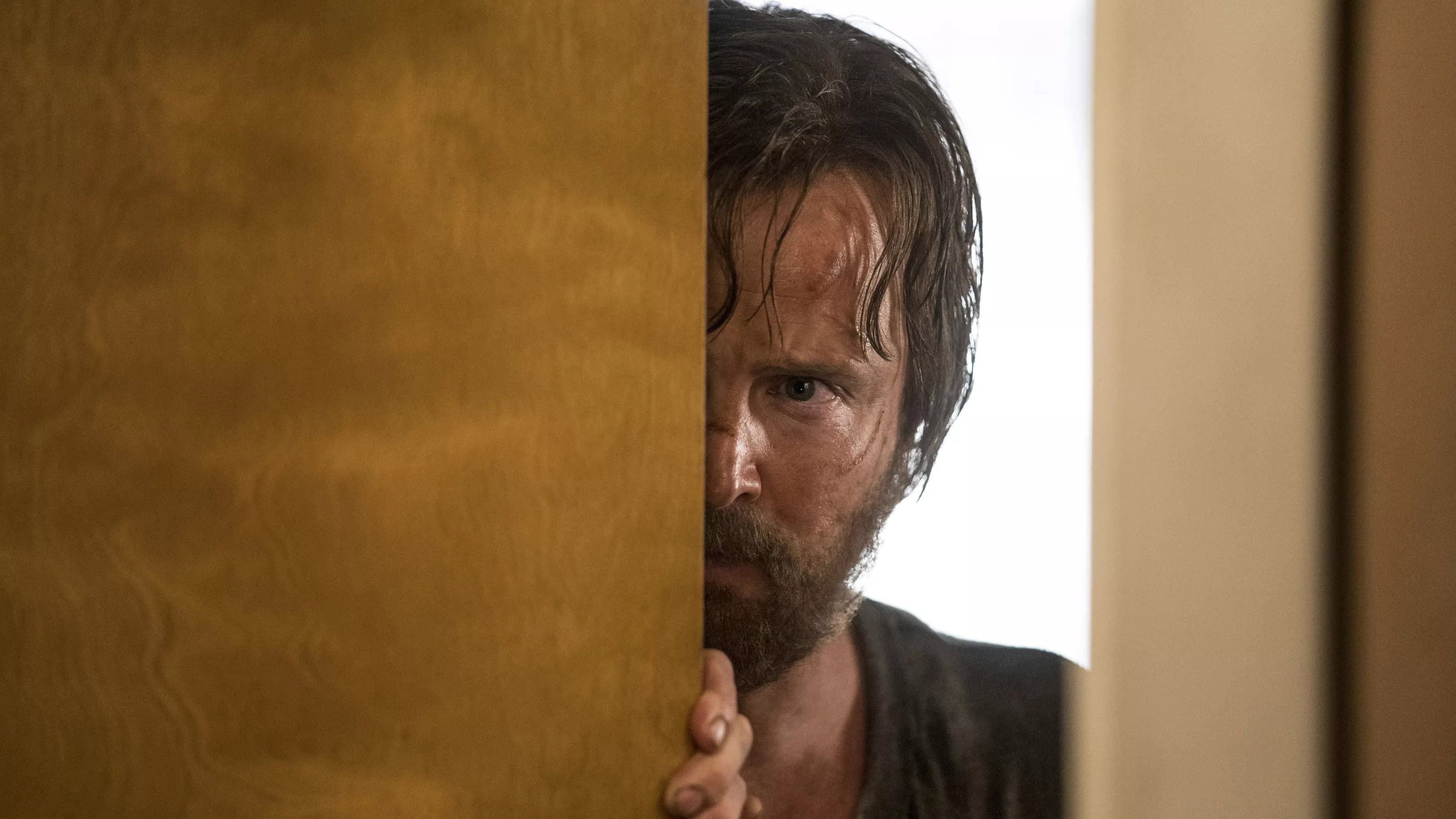 El Camino: Il film di Breaking Bad - immagine