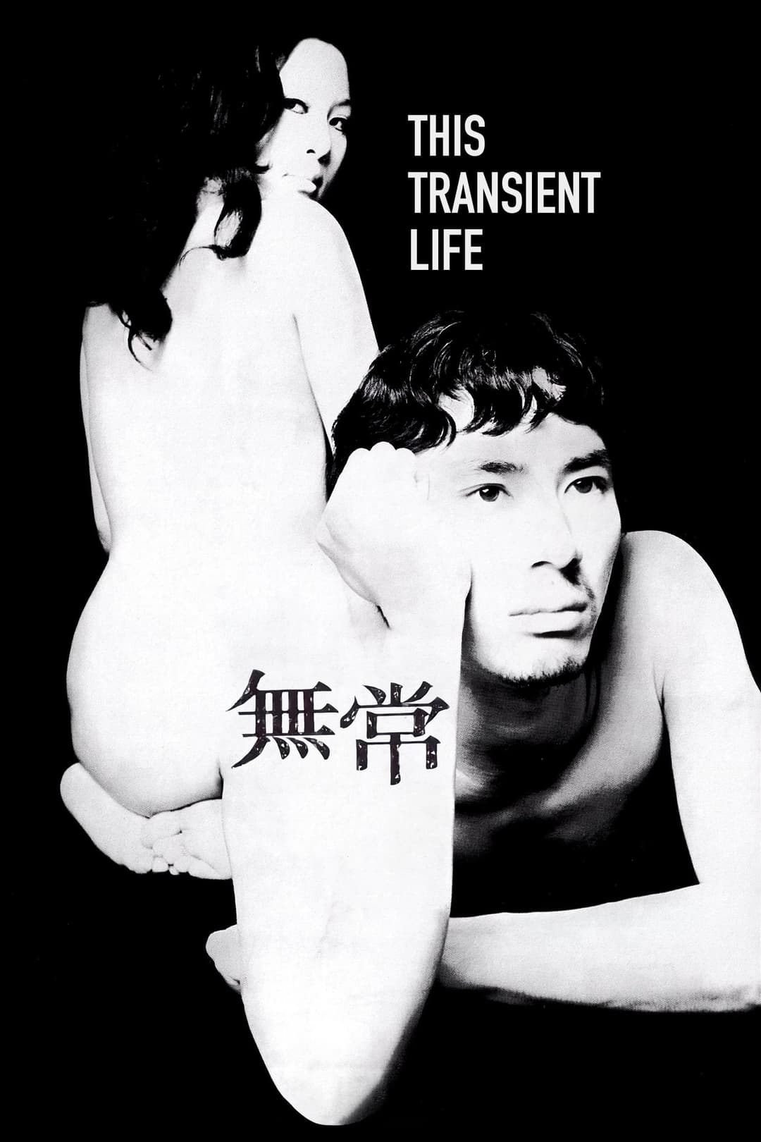 Poster di This Transient Life