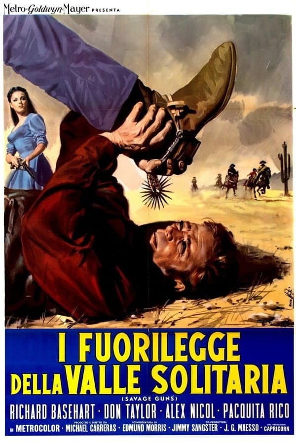 Poster di I fuorilegge della valle solitaria