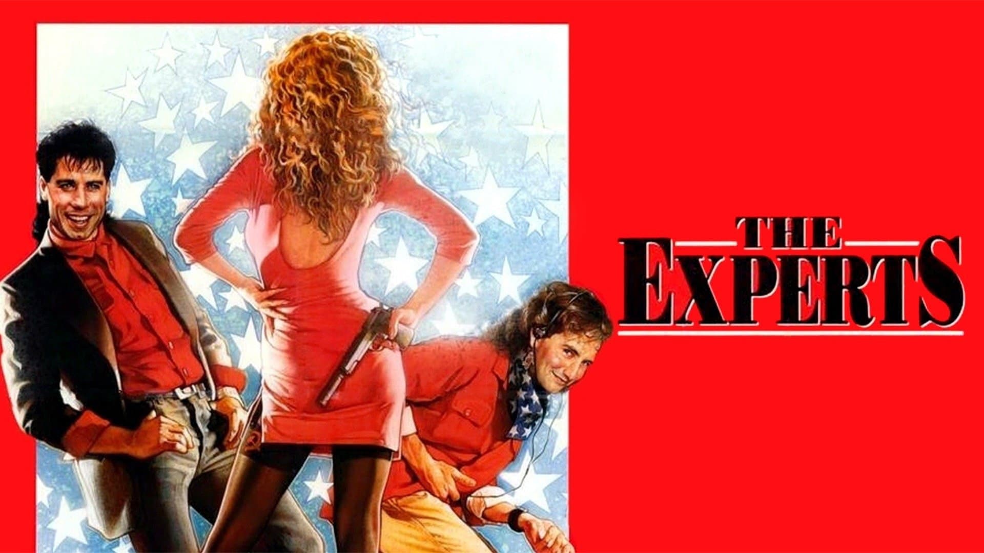 Gli esperti americani - immagine