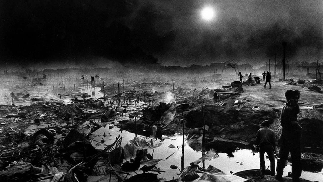 Moonface: una mujer en la guerra - immagine