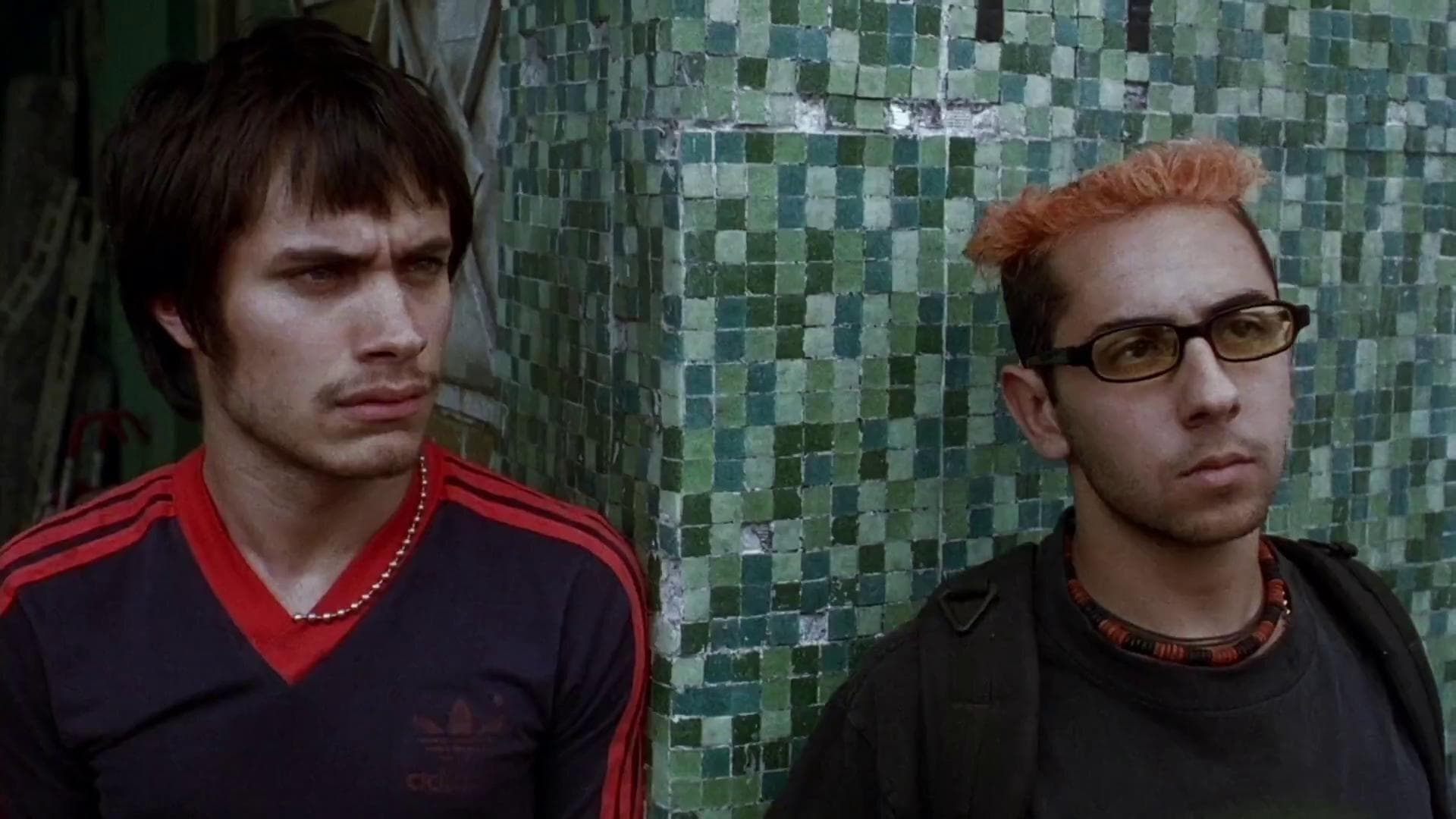Amores perros - immagine
