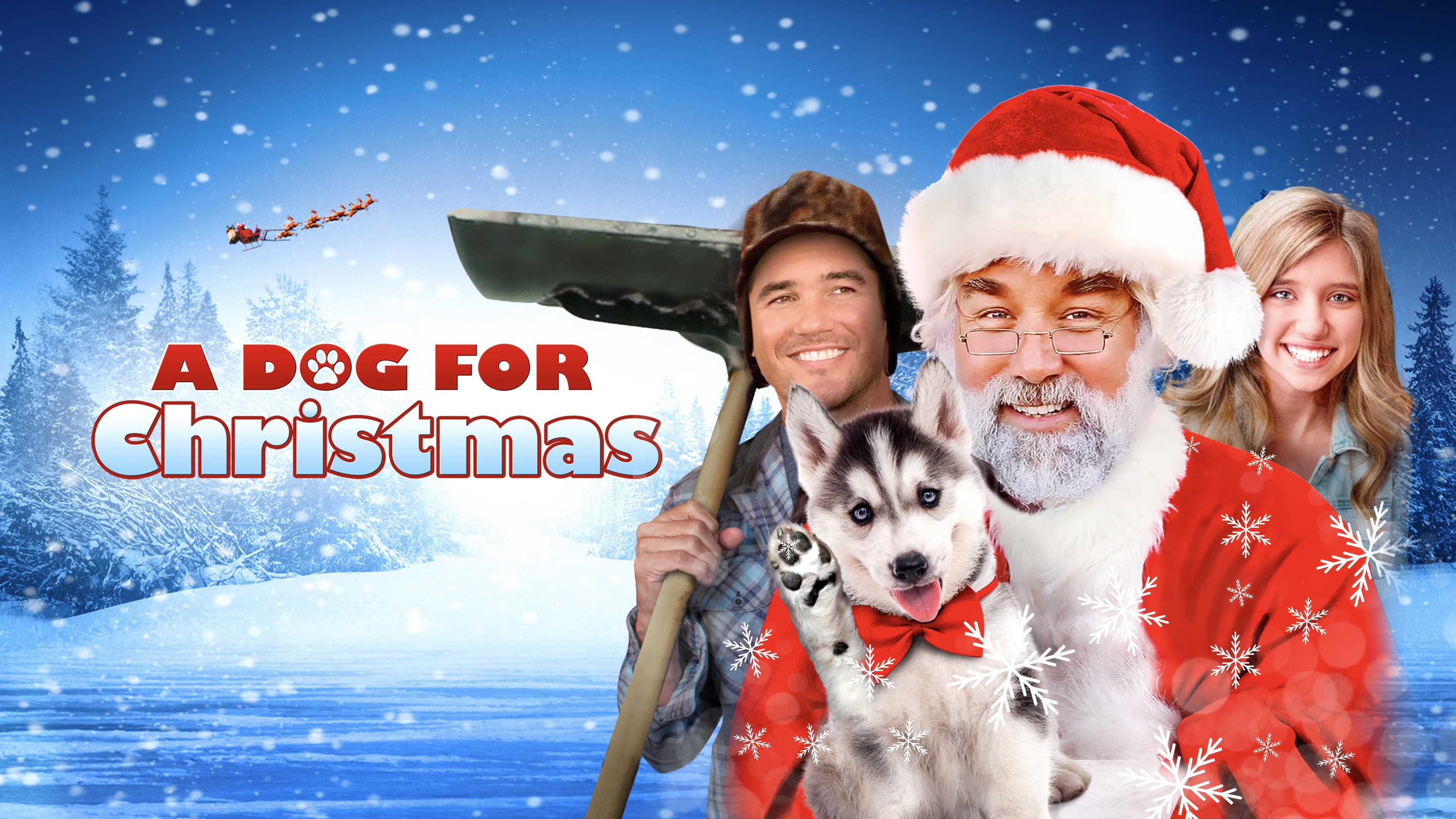 A Dog for Christmas - immagine