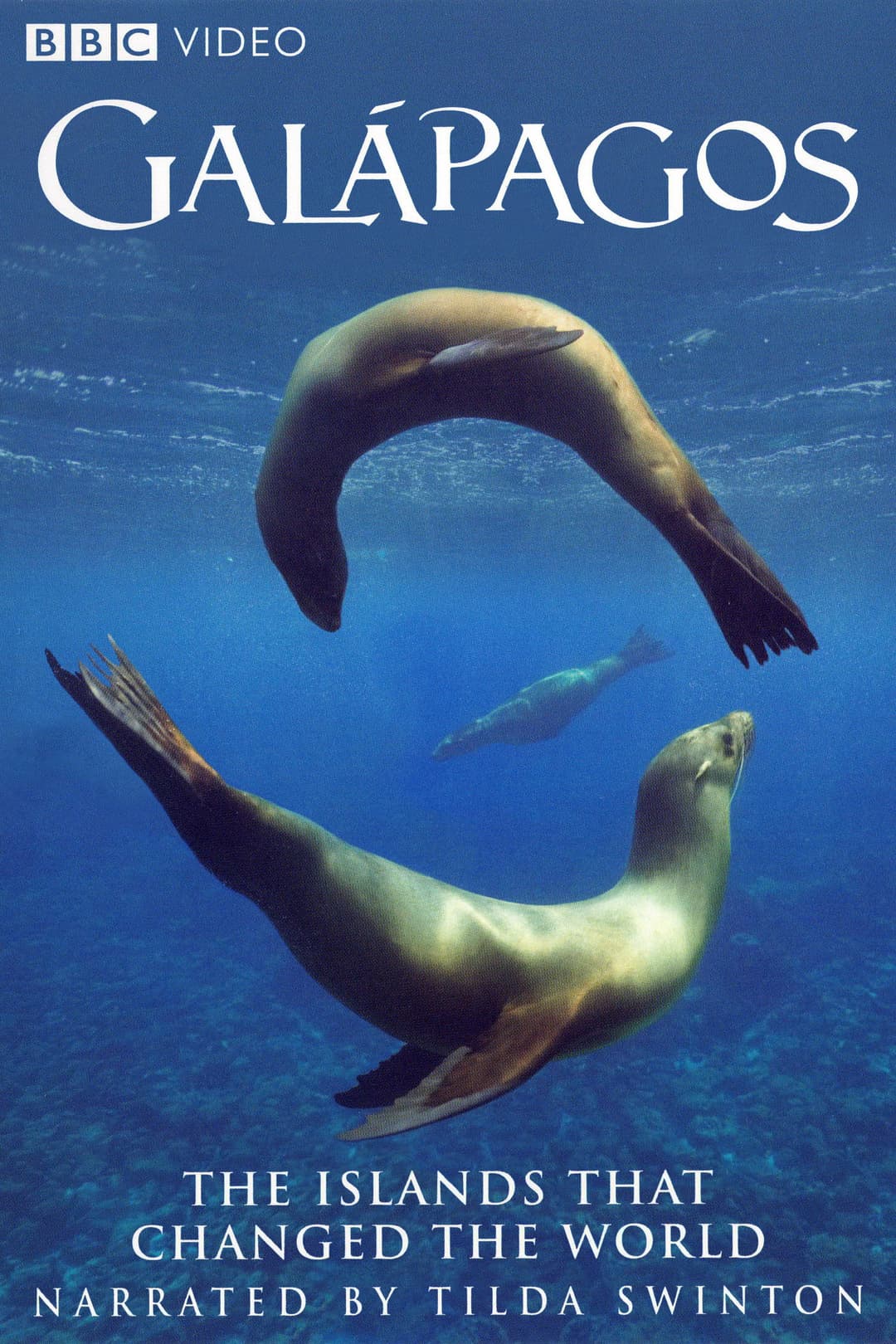 Poster di Galapagos