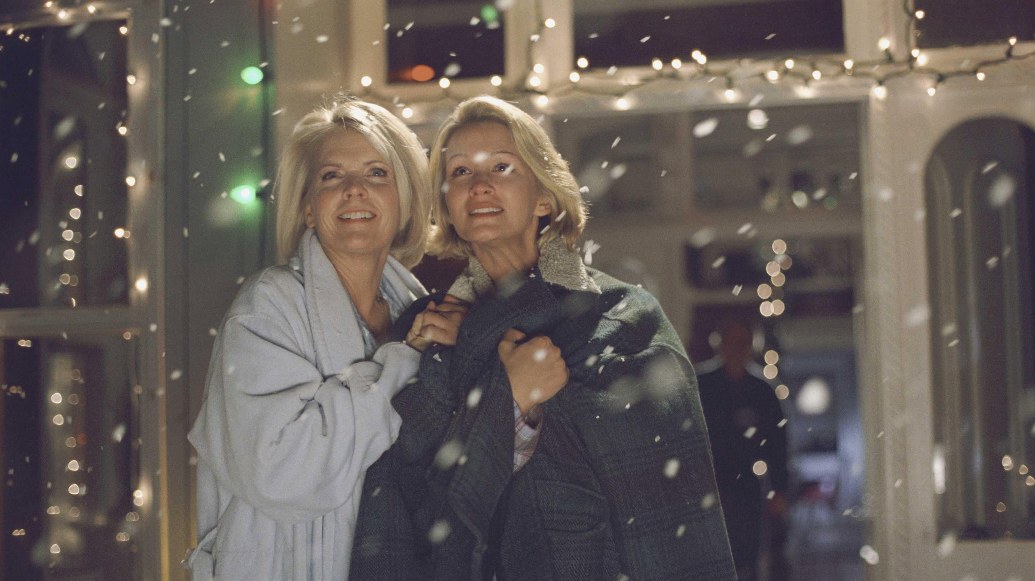 A Christmas Visitor - immagine