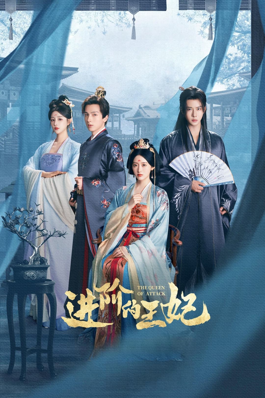 Poster di 进阶的王妃