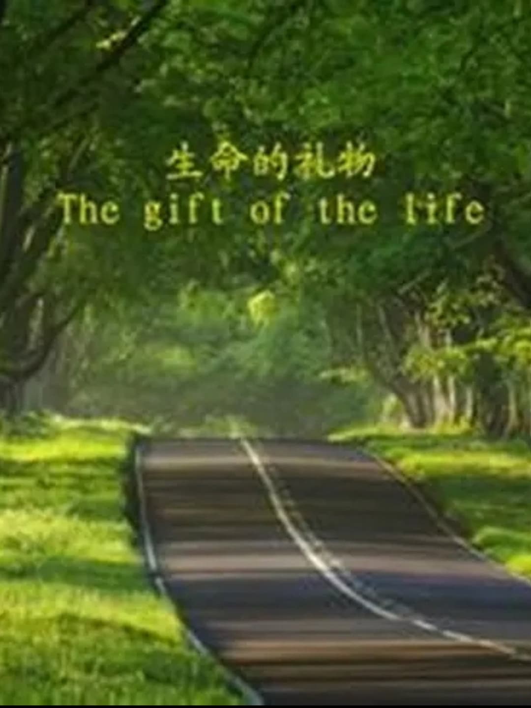 Poster di 生命的礼物