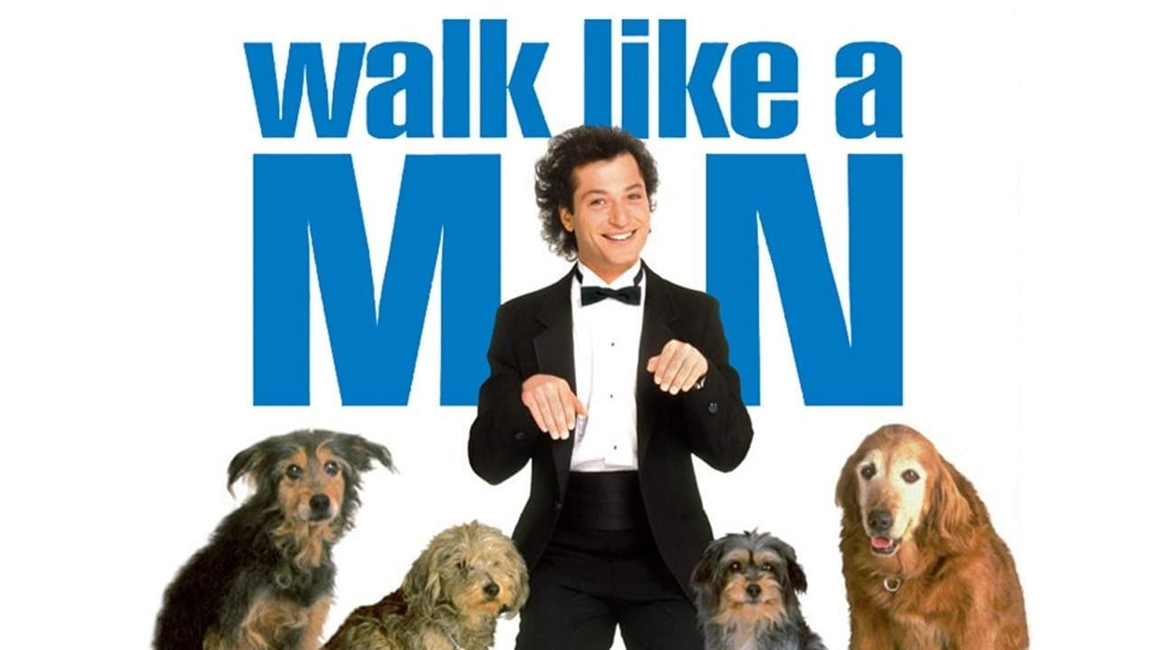 Bobo, vita da cani - immagine