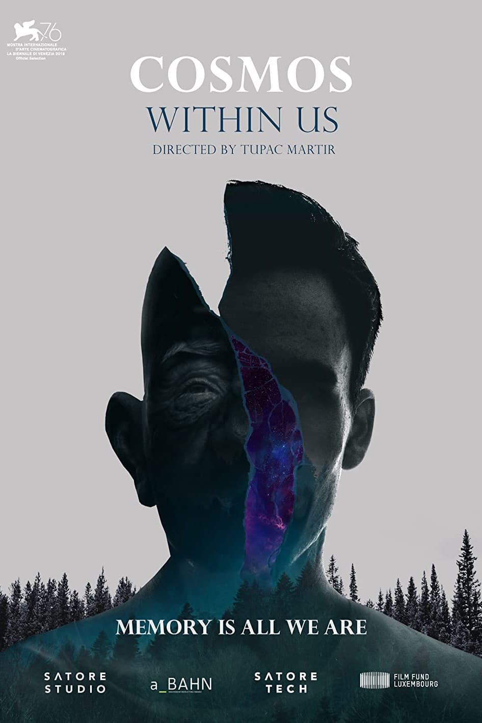 Poster di Cosmos Within Us
