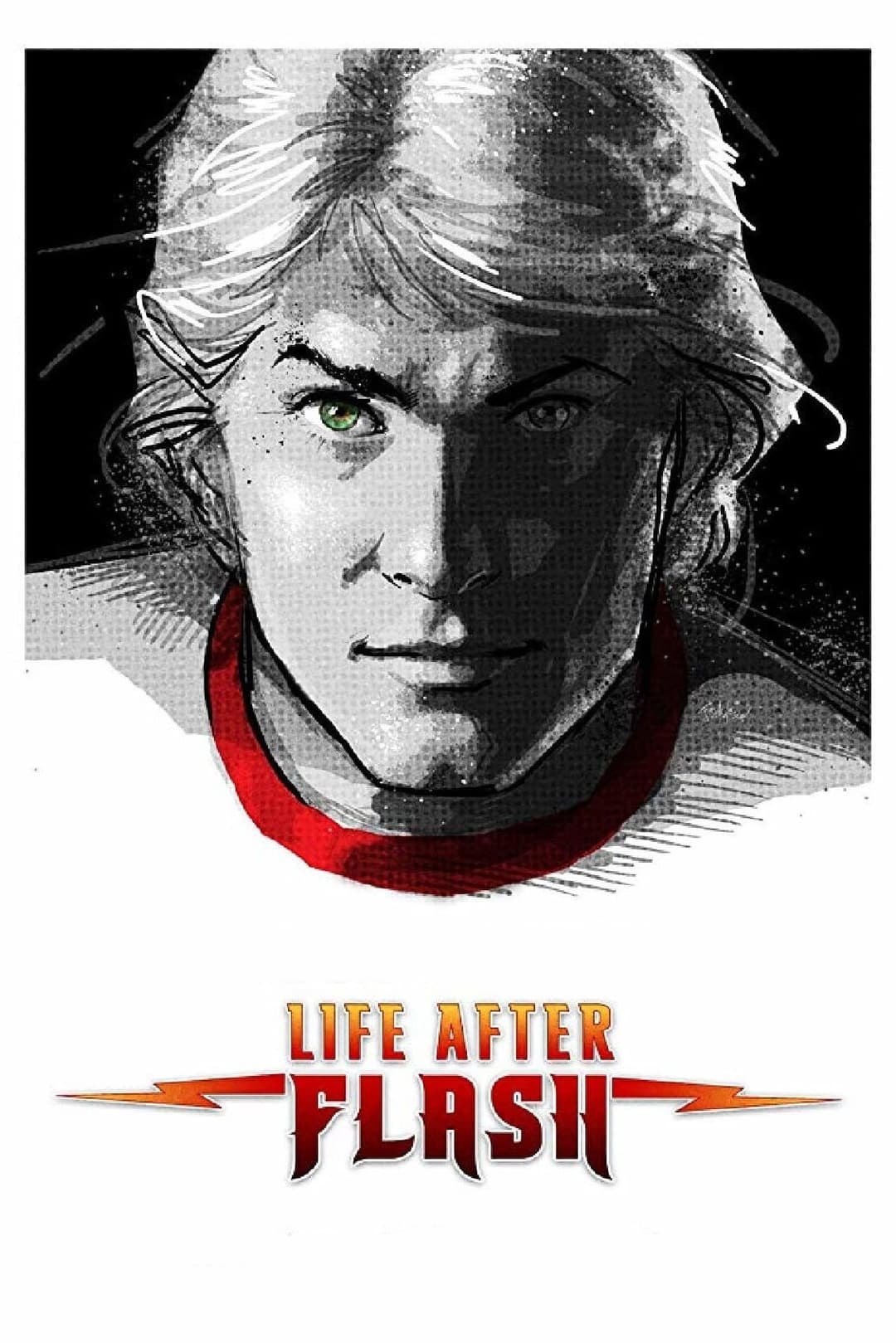 Poster di Life After Flash