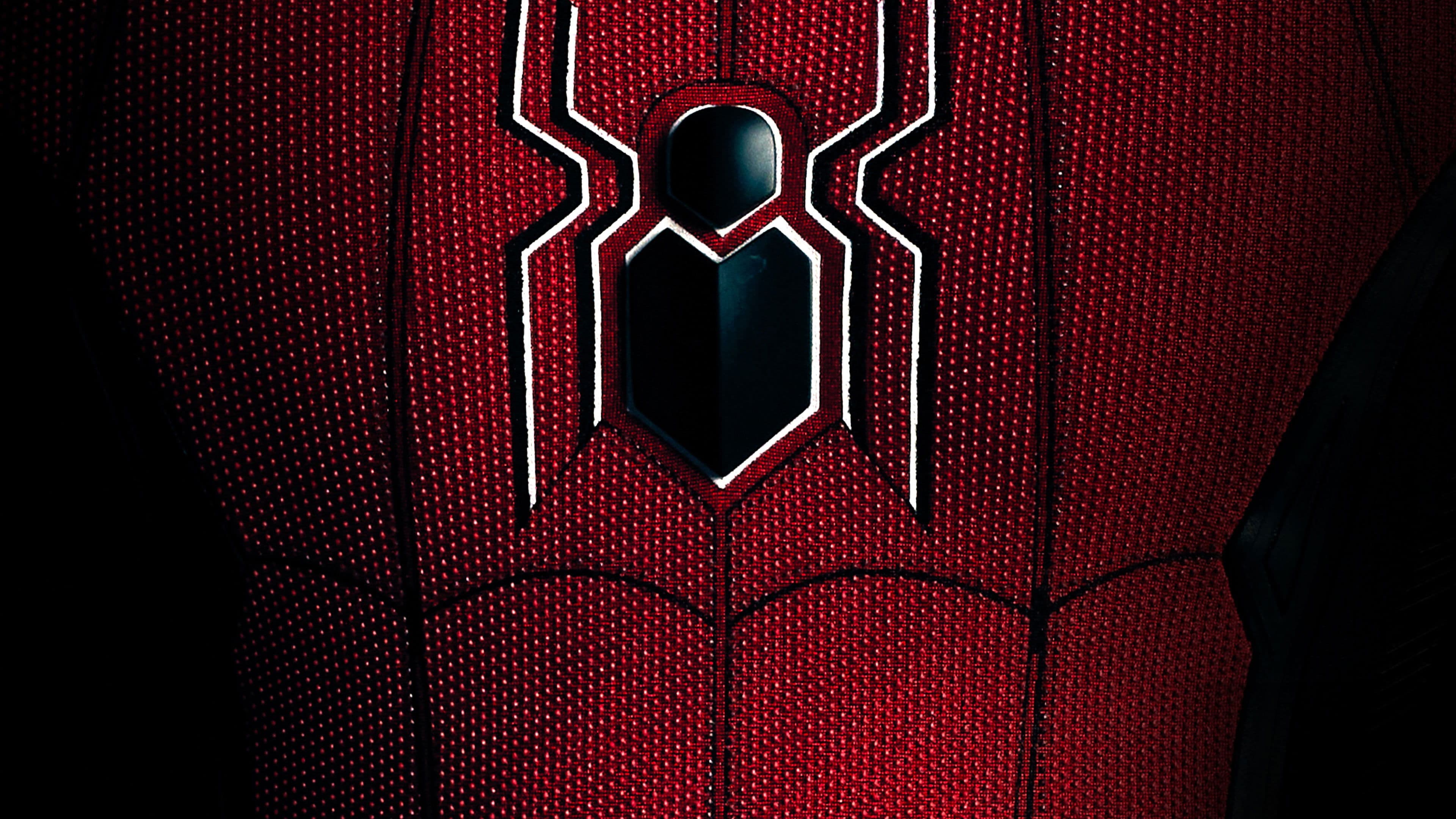 Spider-Man: All Roads Lead to No Way Home - immagine