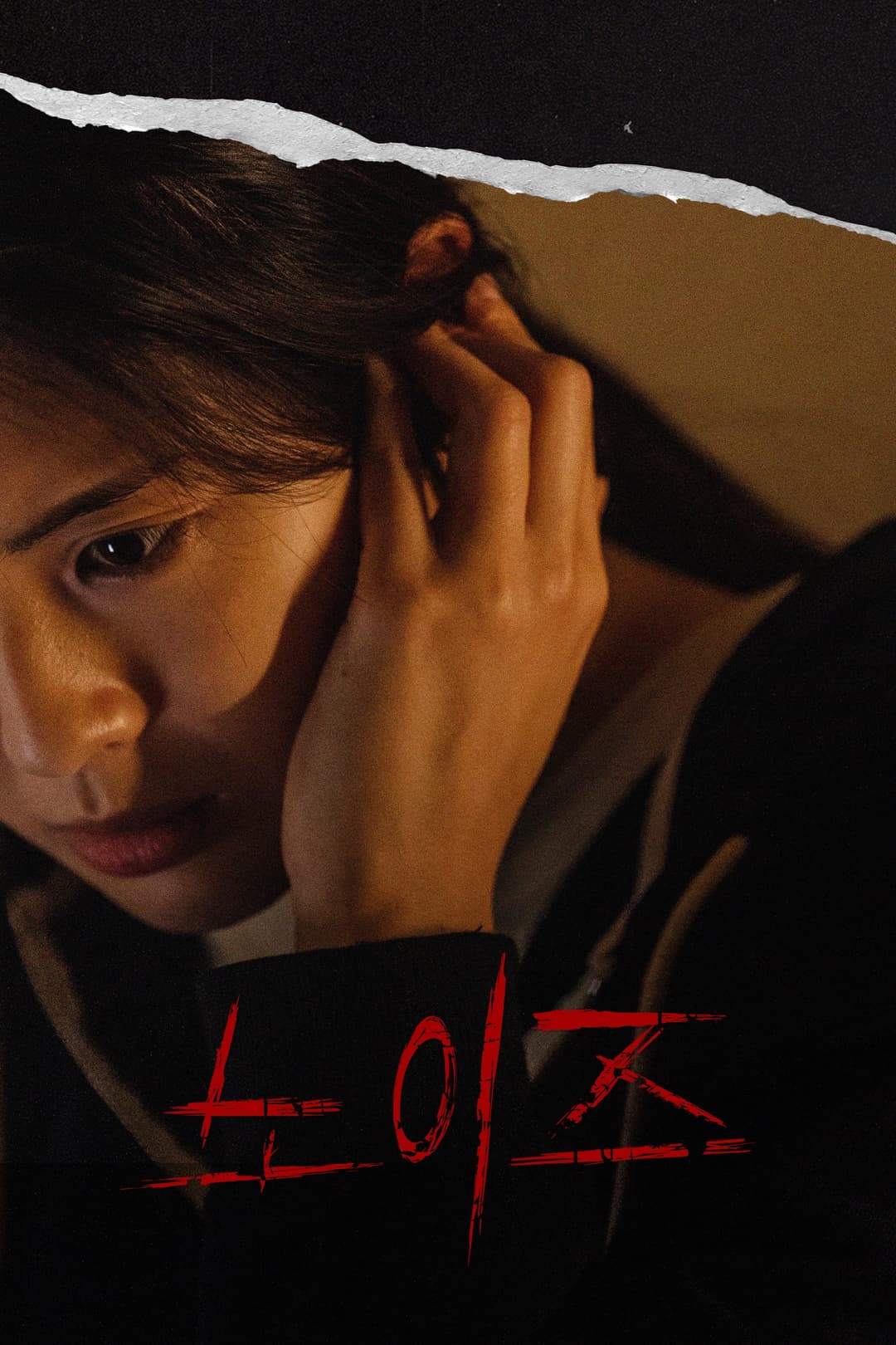 Poster di 노이즈