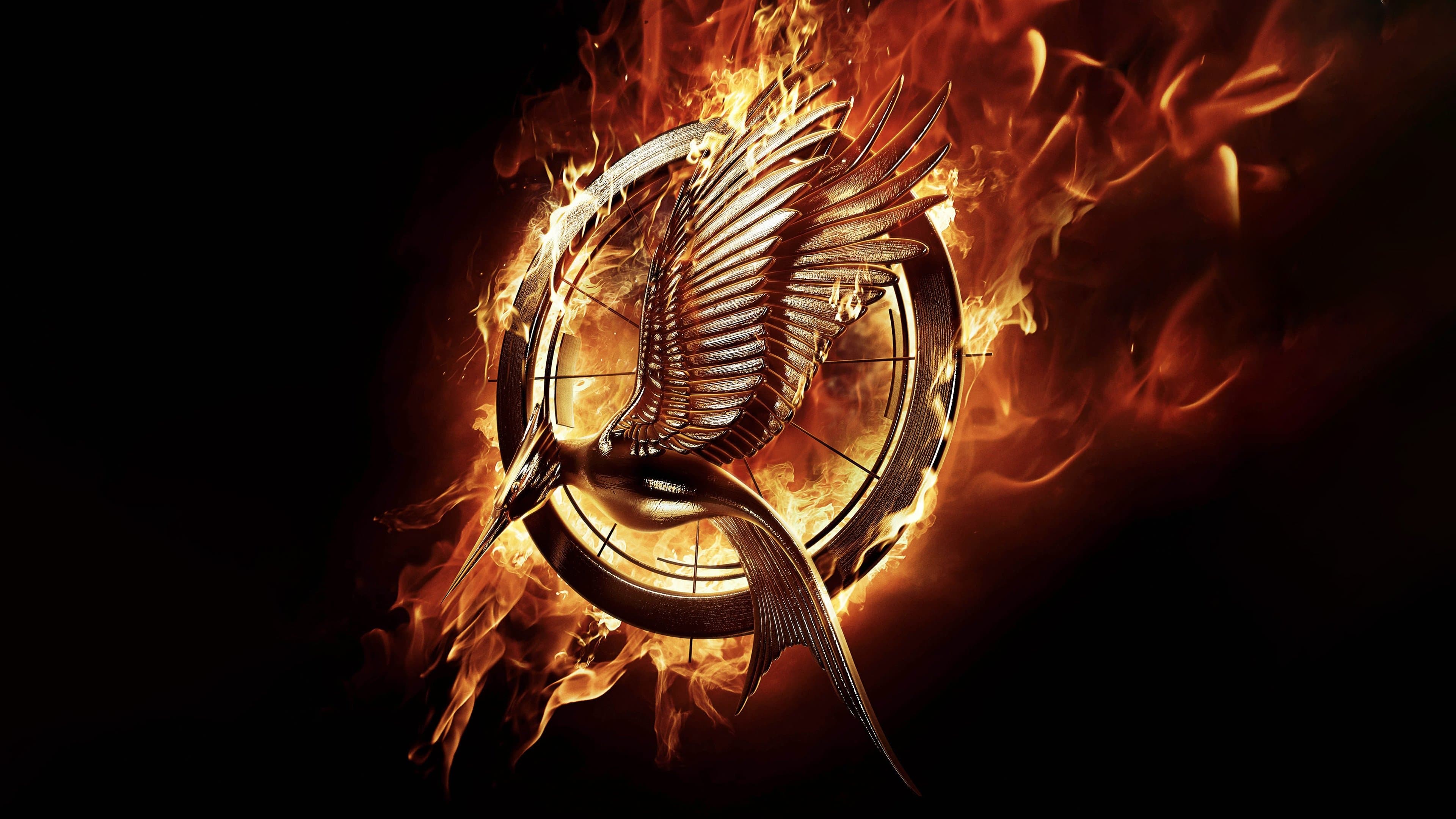 Hunger Games: La ragazza di fuoco - immagine