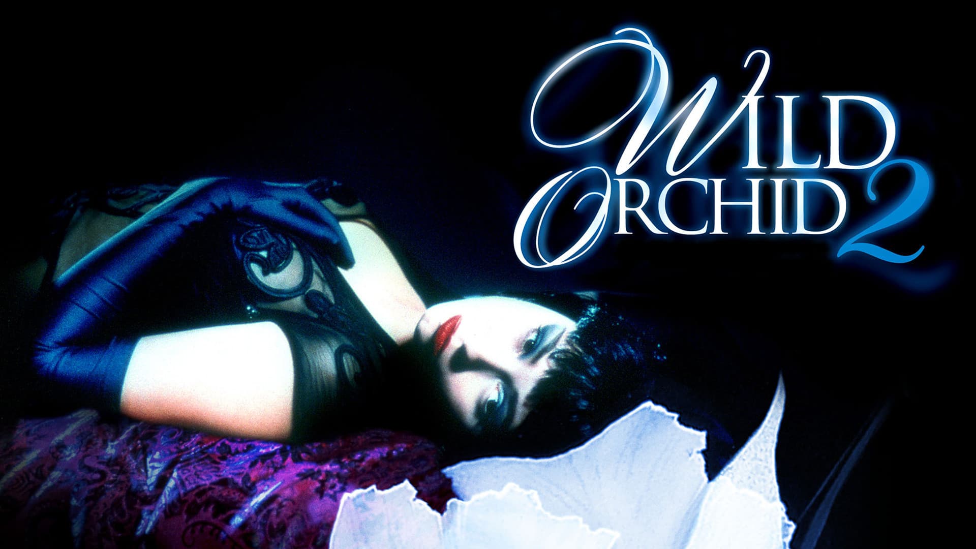 Orchidea selvaggia 2 - immagine