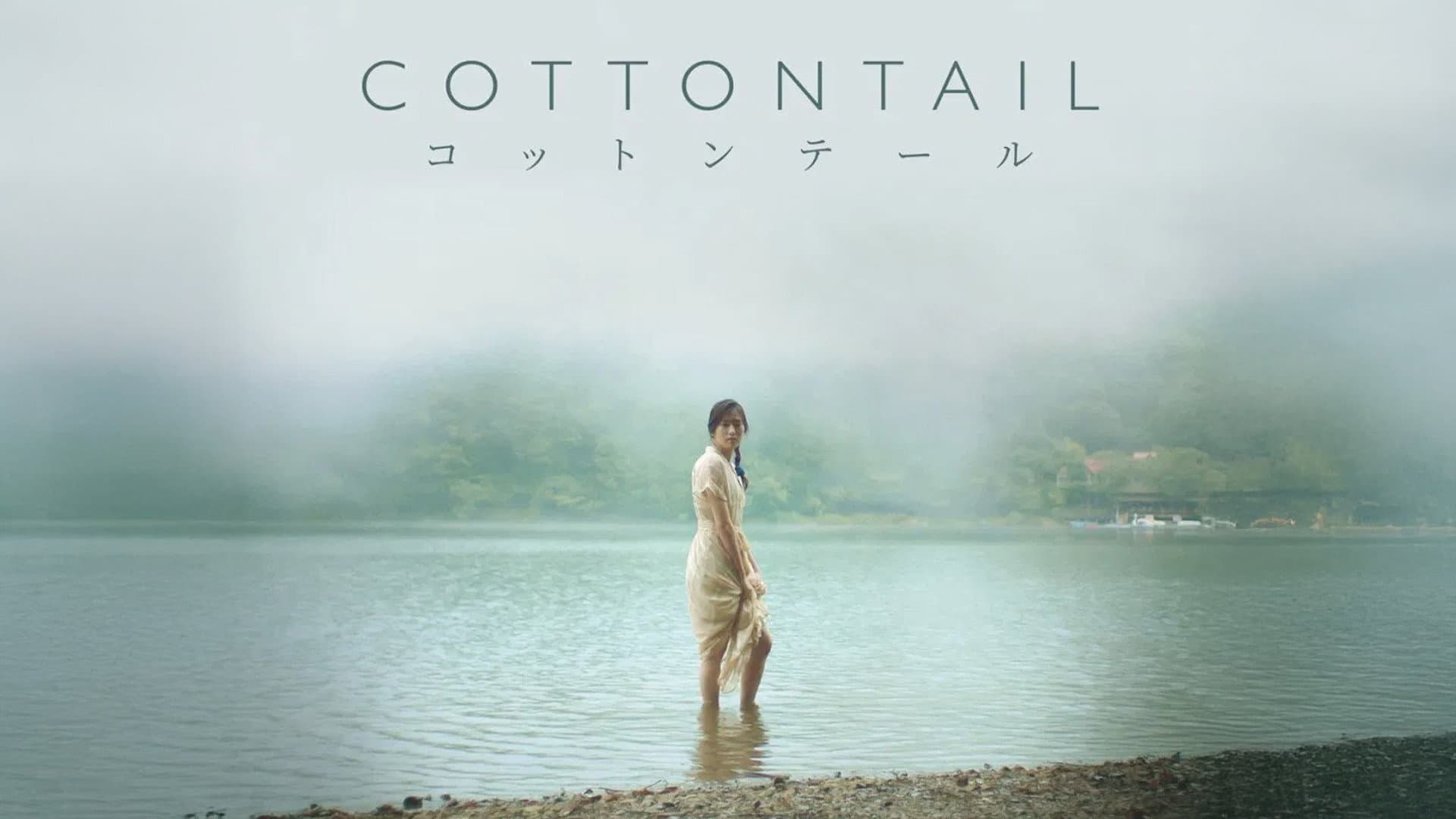Cottontail - immagine