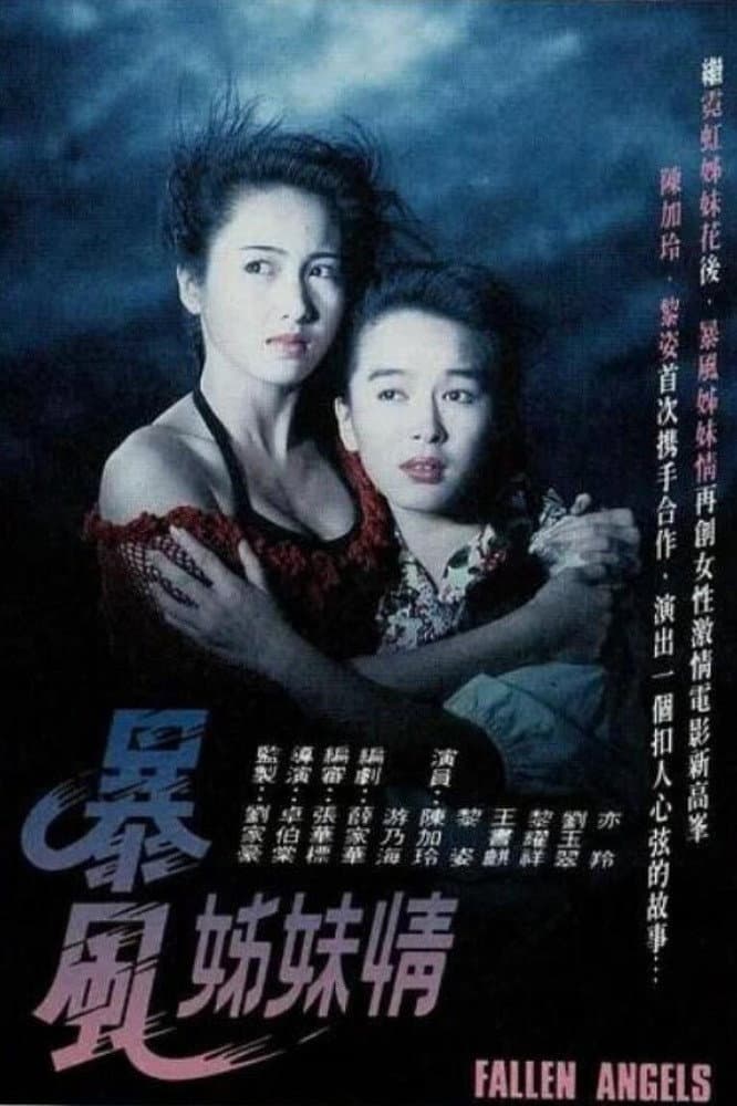 Poster di 暴風姊妹情