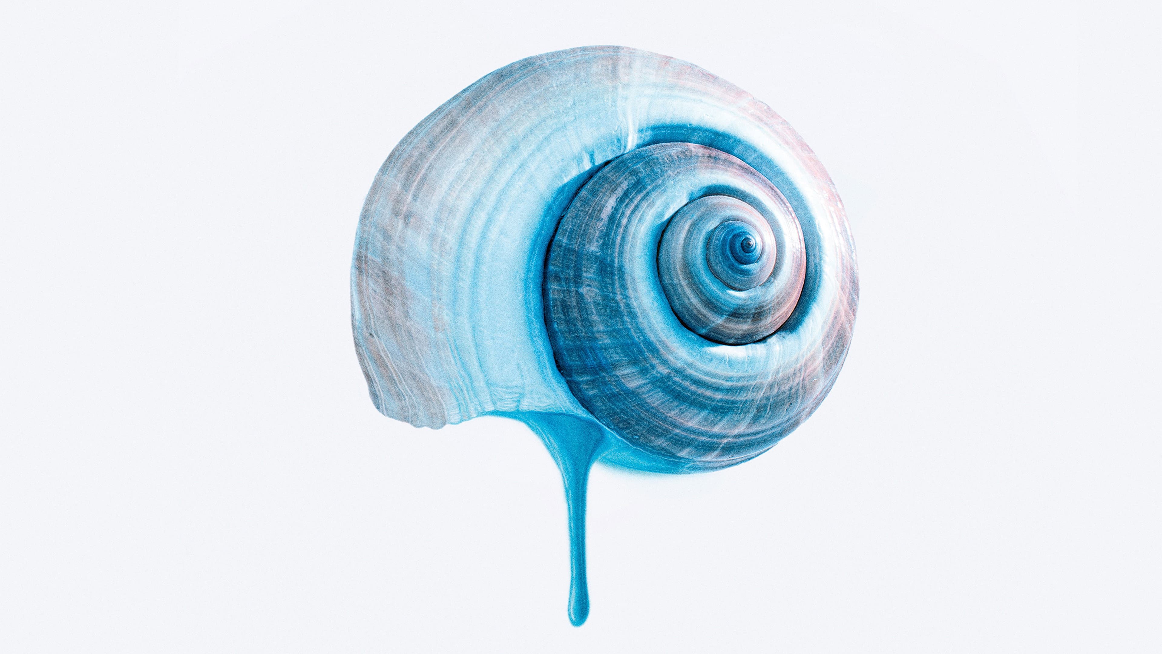 Il sentiero azzurro - immagine