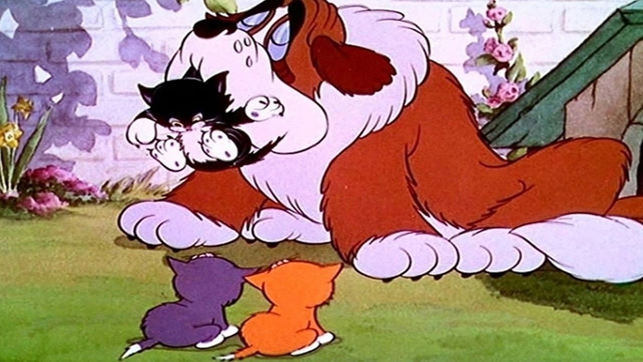 Gattini in festa - immagine