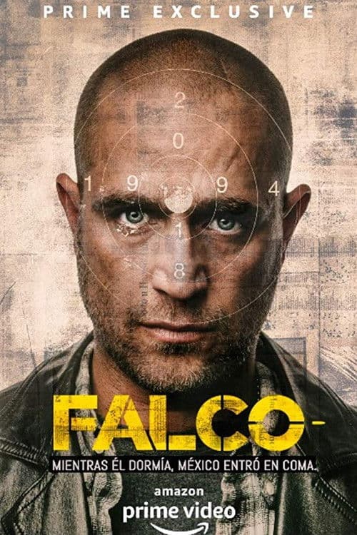 Poster di Falco