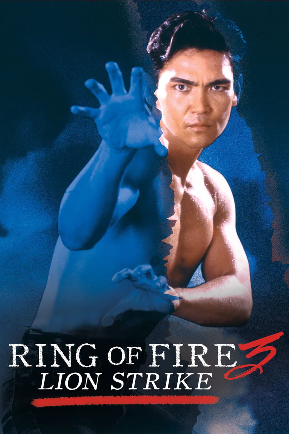 Poster di Ring of Fire III: Lion Strike