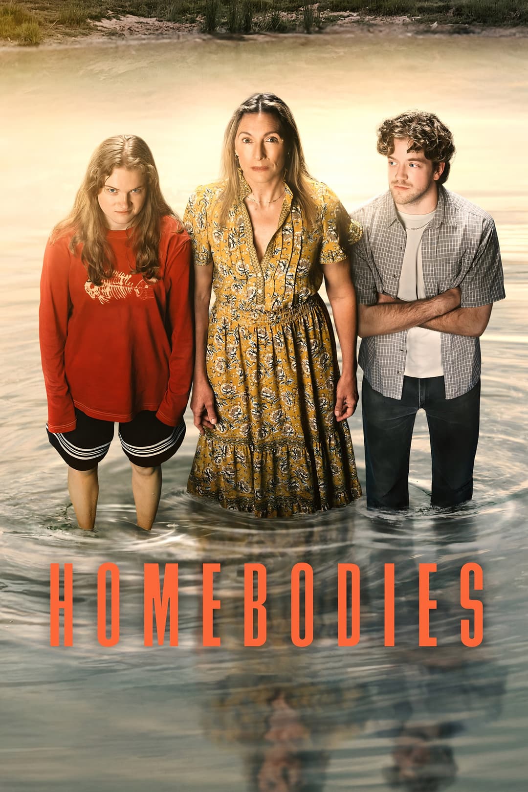 Poster di Homebodies