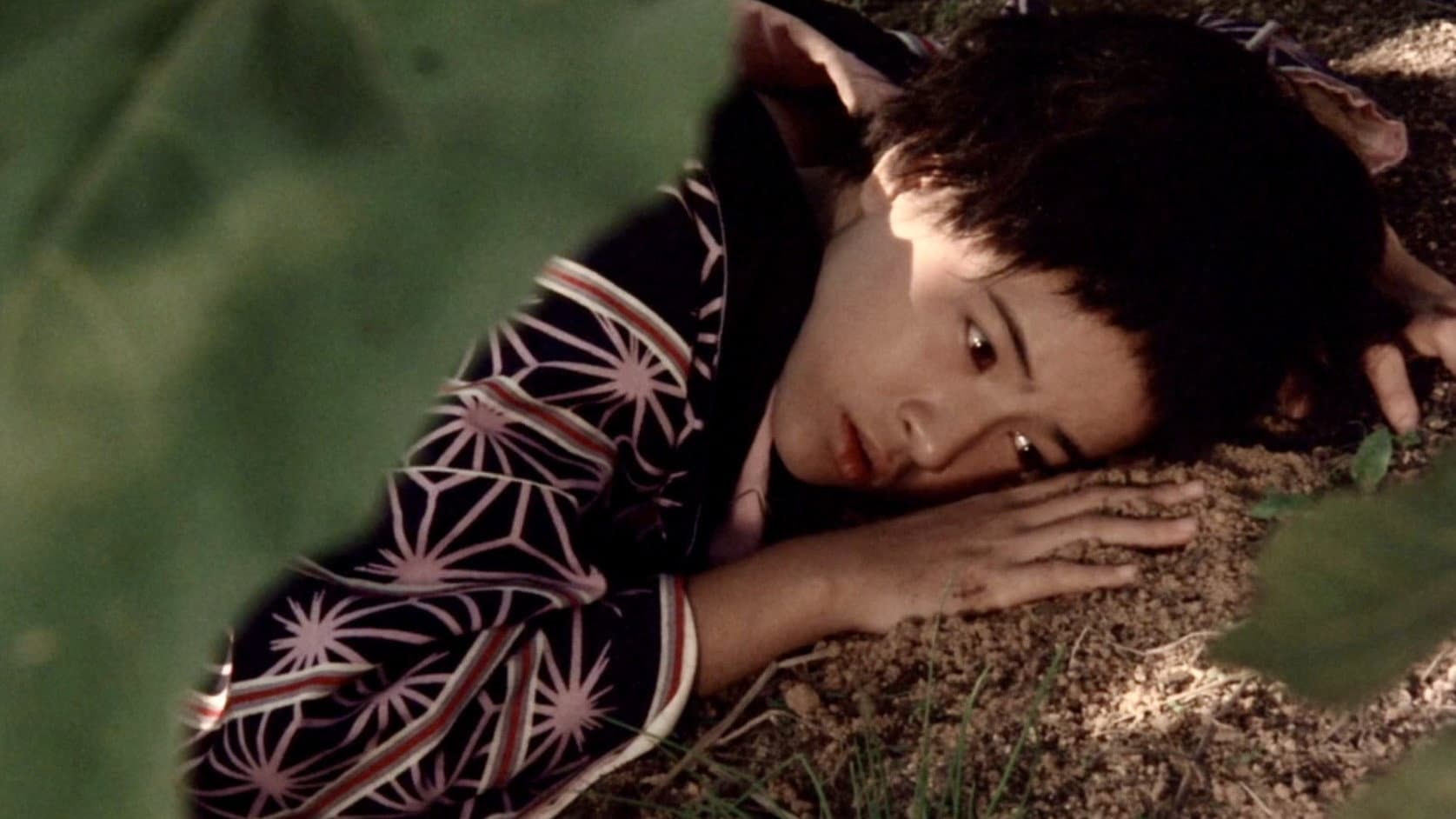 Lullaby of the Earth - immagine