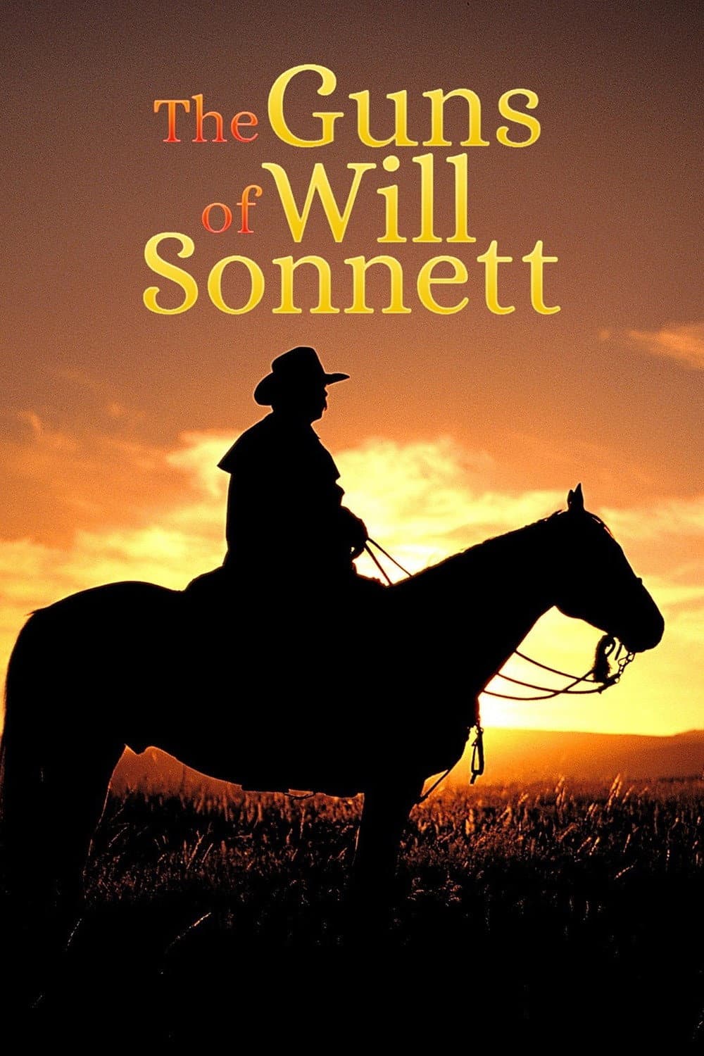 Poster di The Guns of Will Sonnett