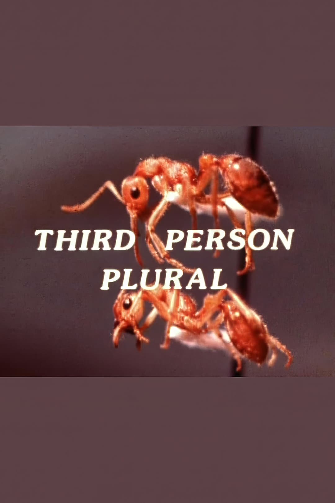 Poster di Third Person Plural