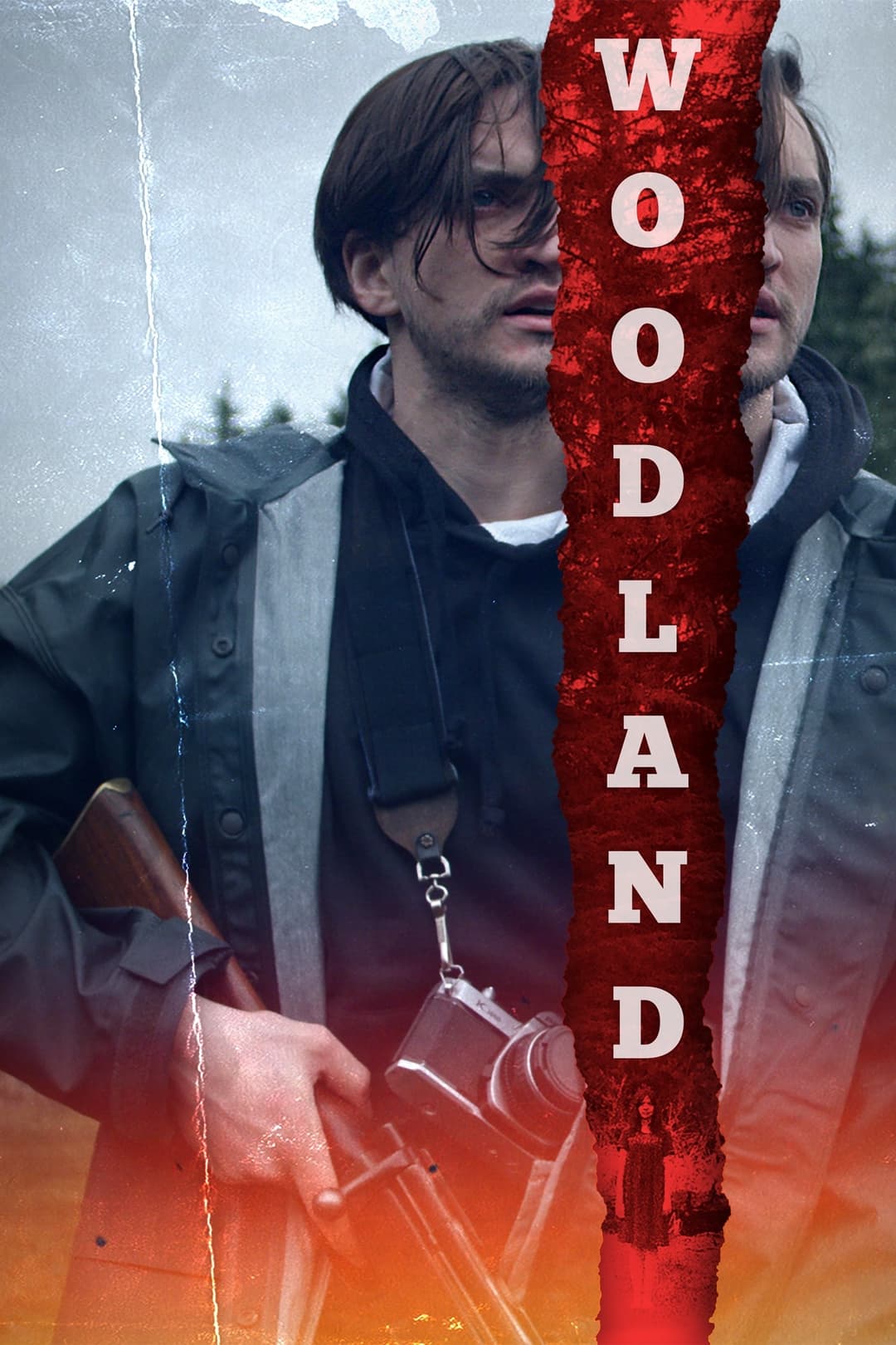 Poster di Woodland
