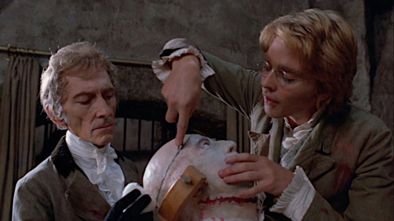 Frankenstein e il mostro dell'inferno - immagine