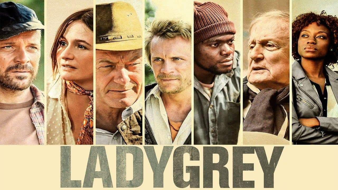 Ladygrey - immagine