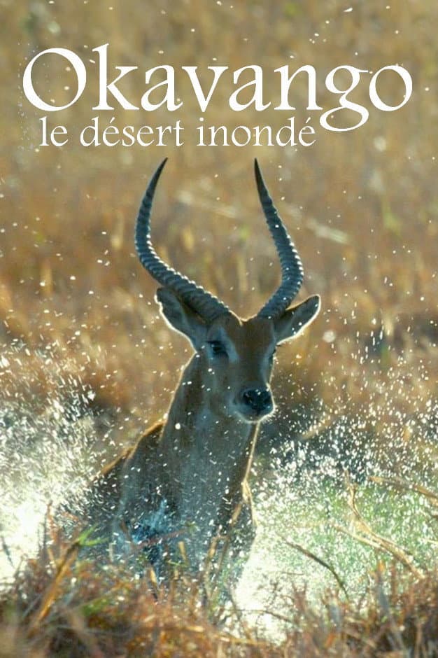 Poster di Kalahari: The Flooded Desert